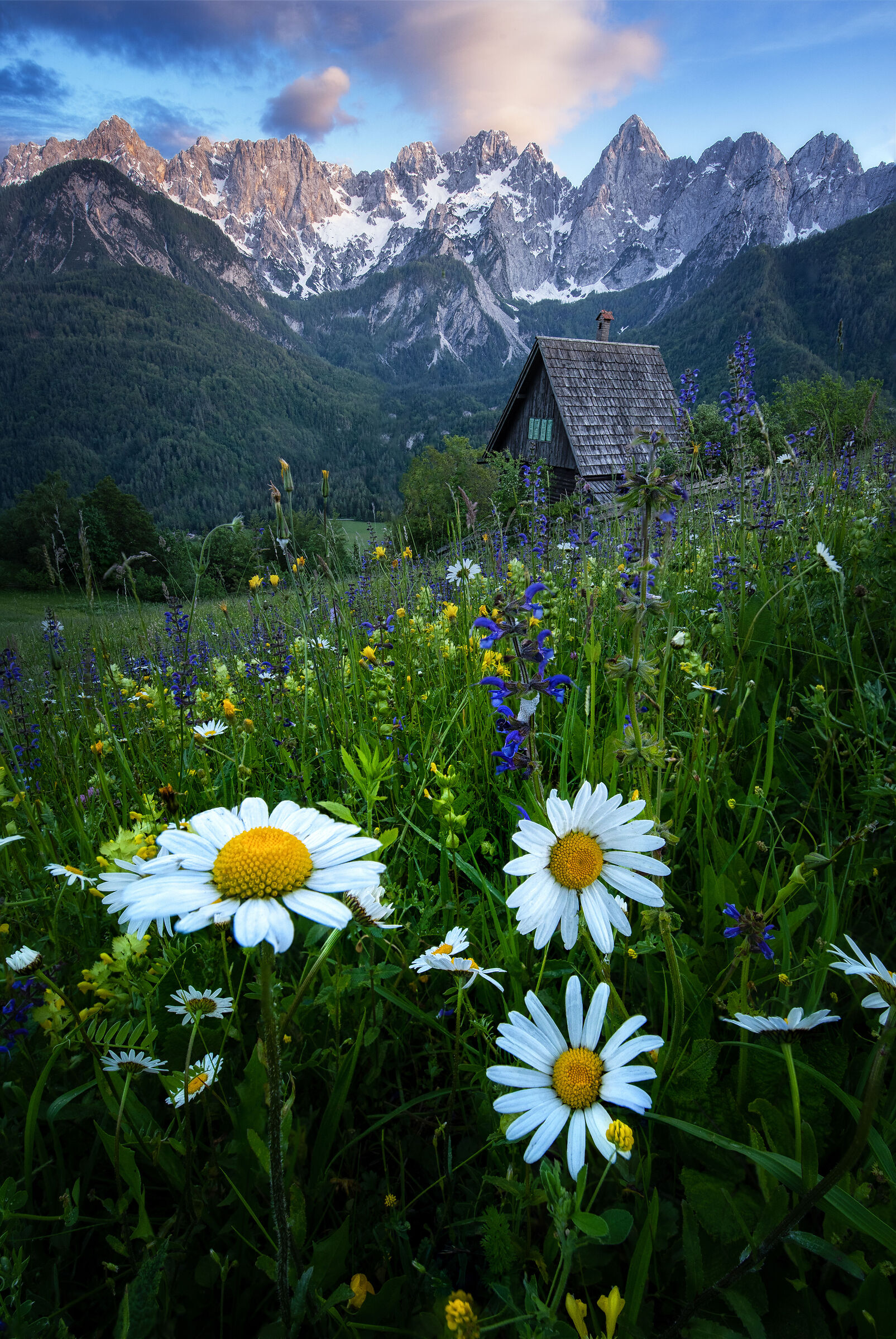 Spring time