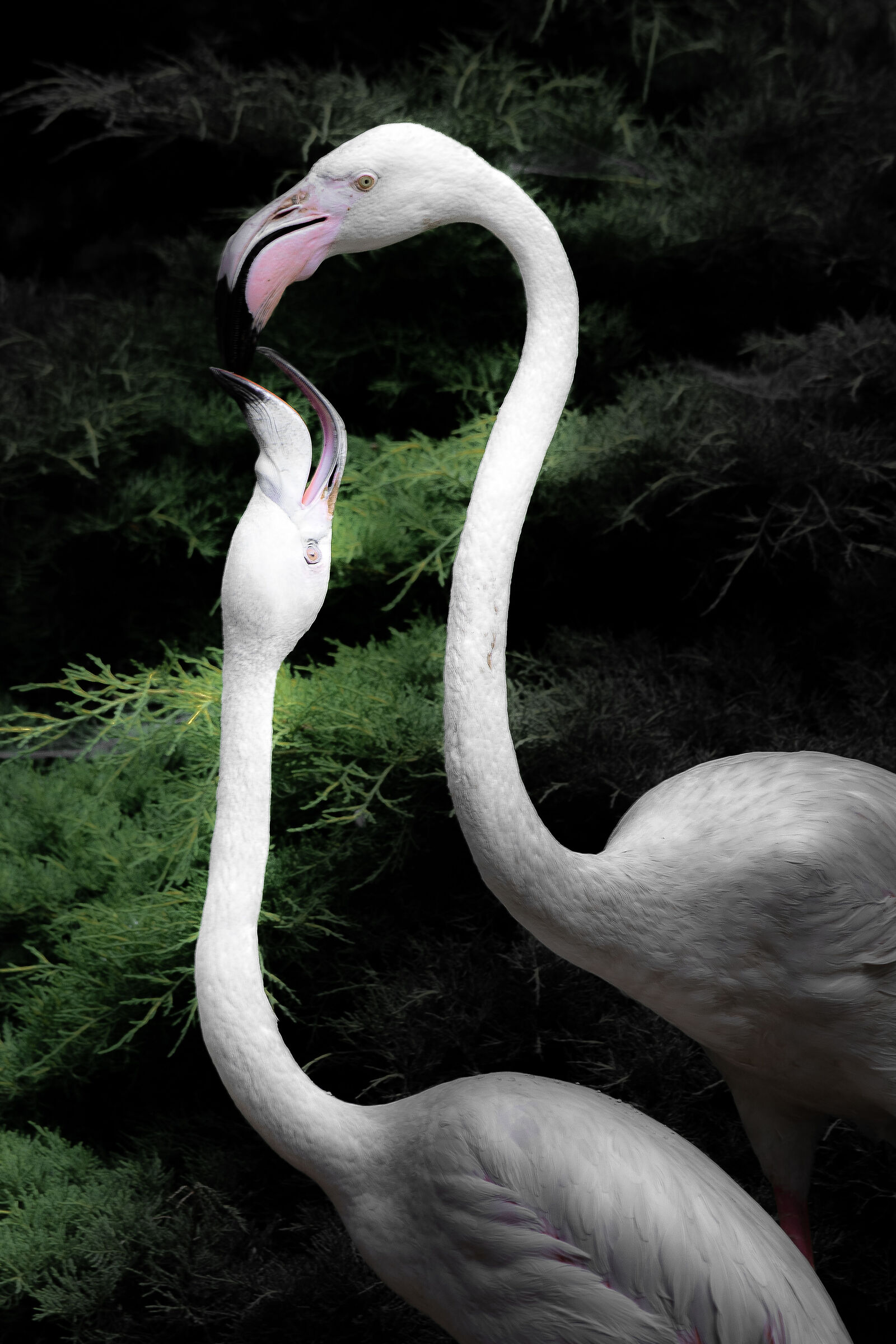 atto, in ambiente controllato