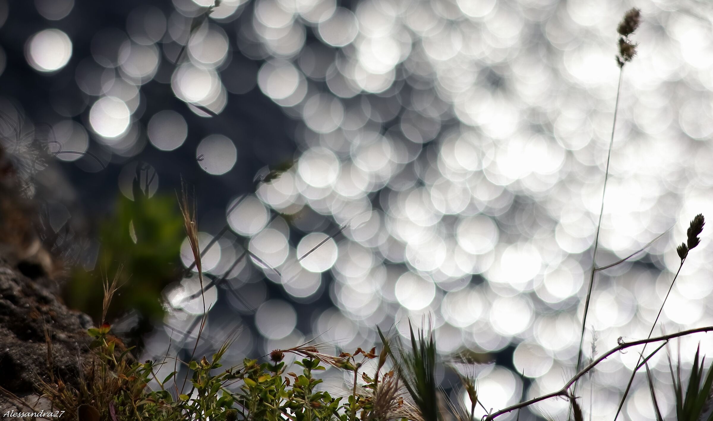 ... se mi allontano ancora un po' ...