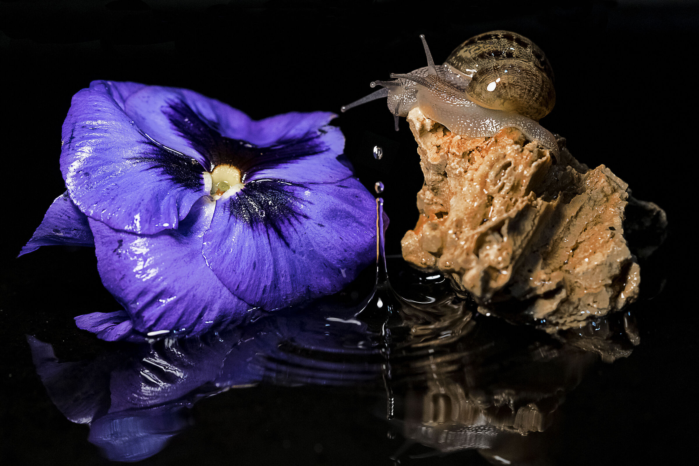 It's starting to rain. Run!