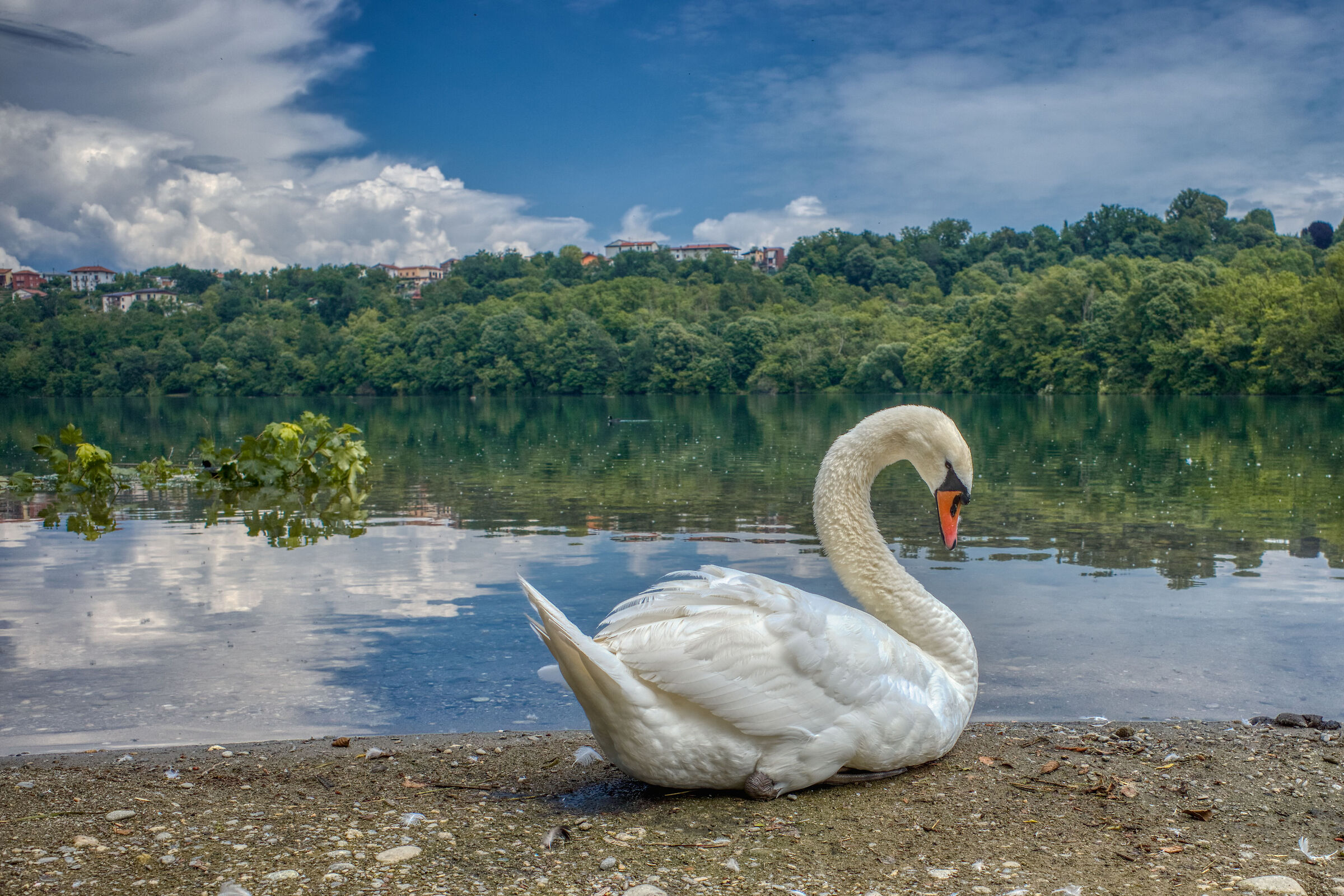 Tranquillo, scatto solo una foto e vado via!