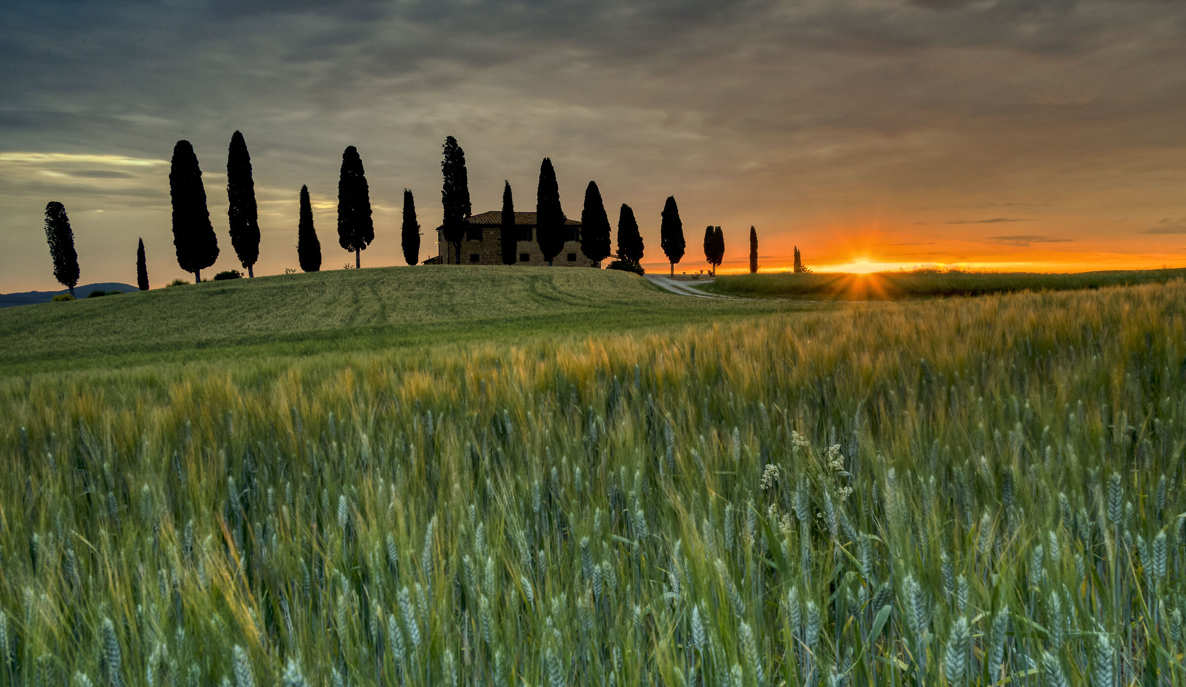 Alba al Podere i Cipressini.