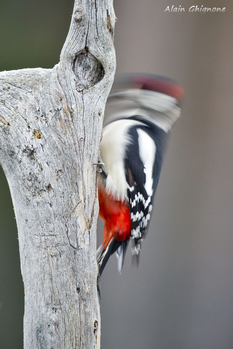 a little more action please..