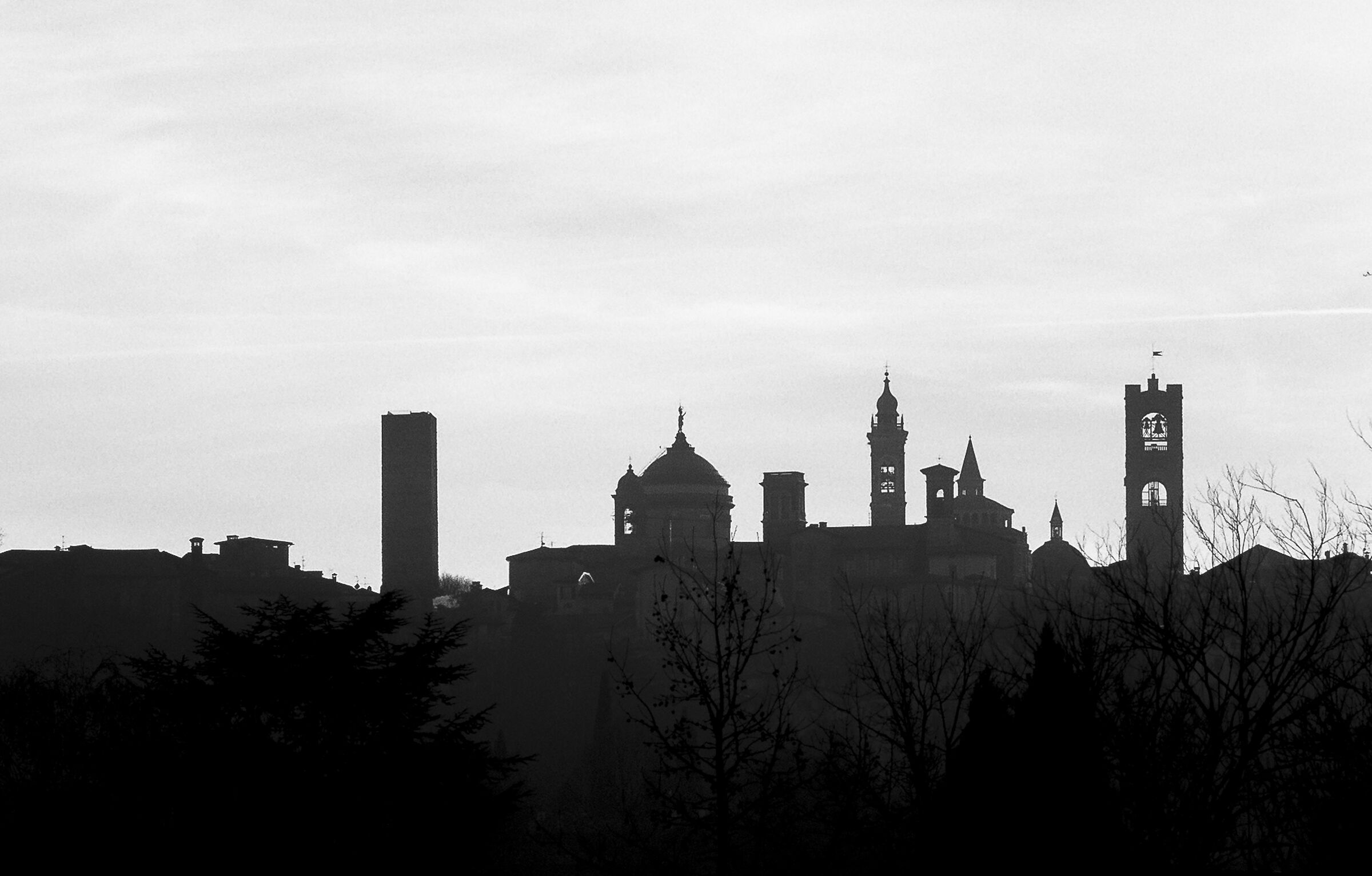 Untitled Photo