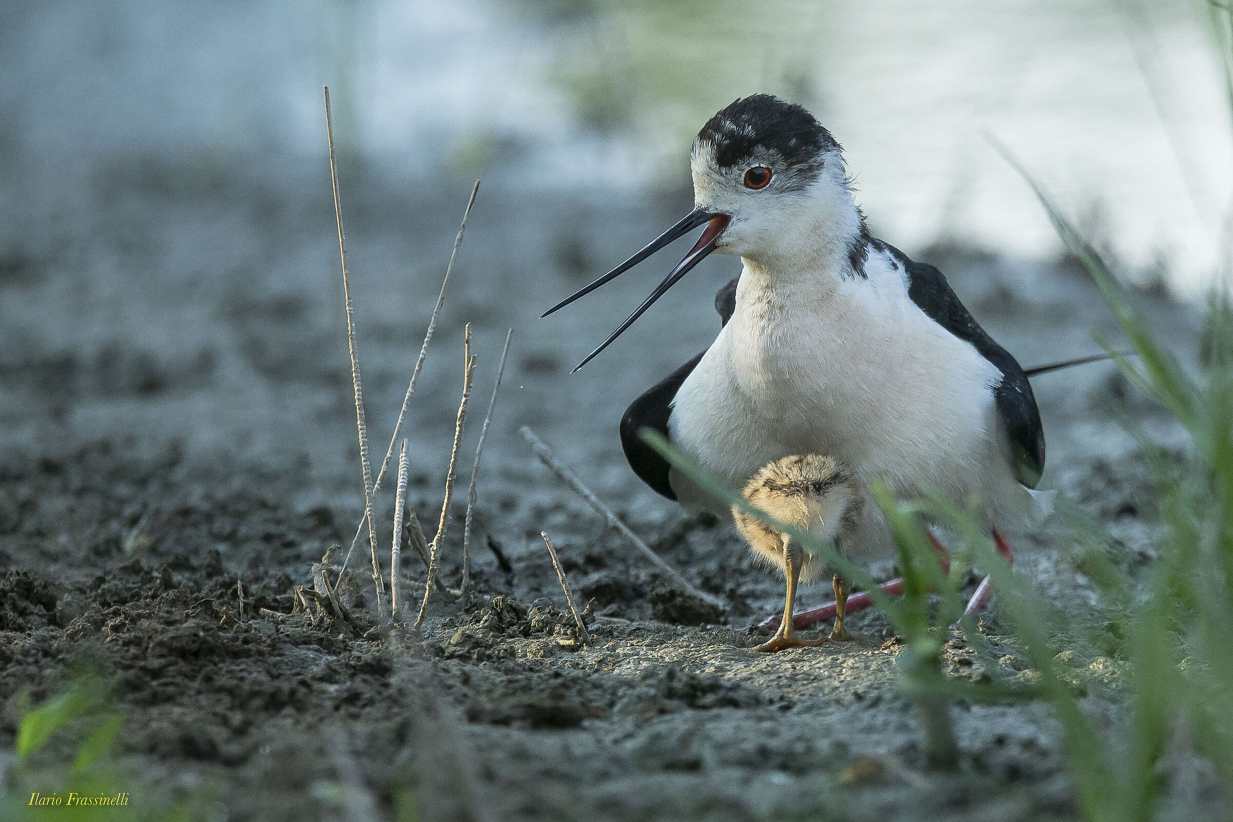 attention.. danger in the sky