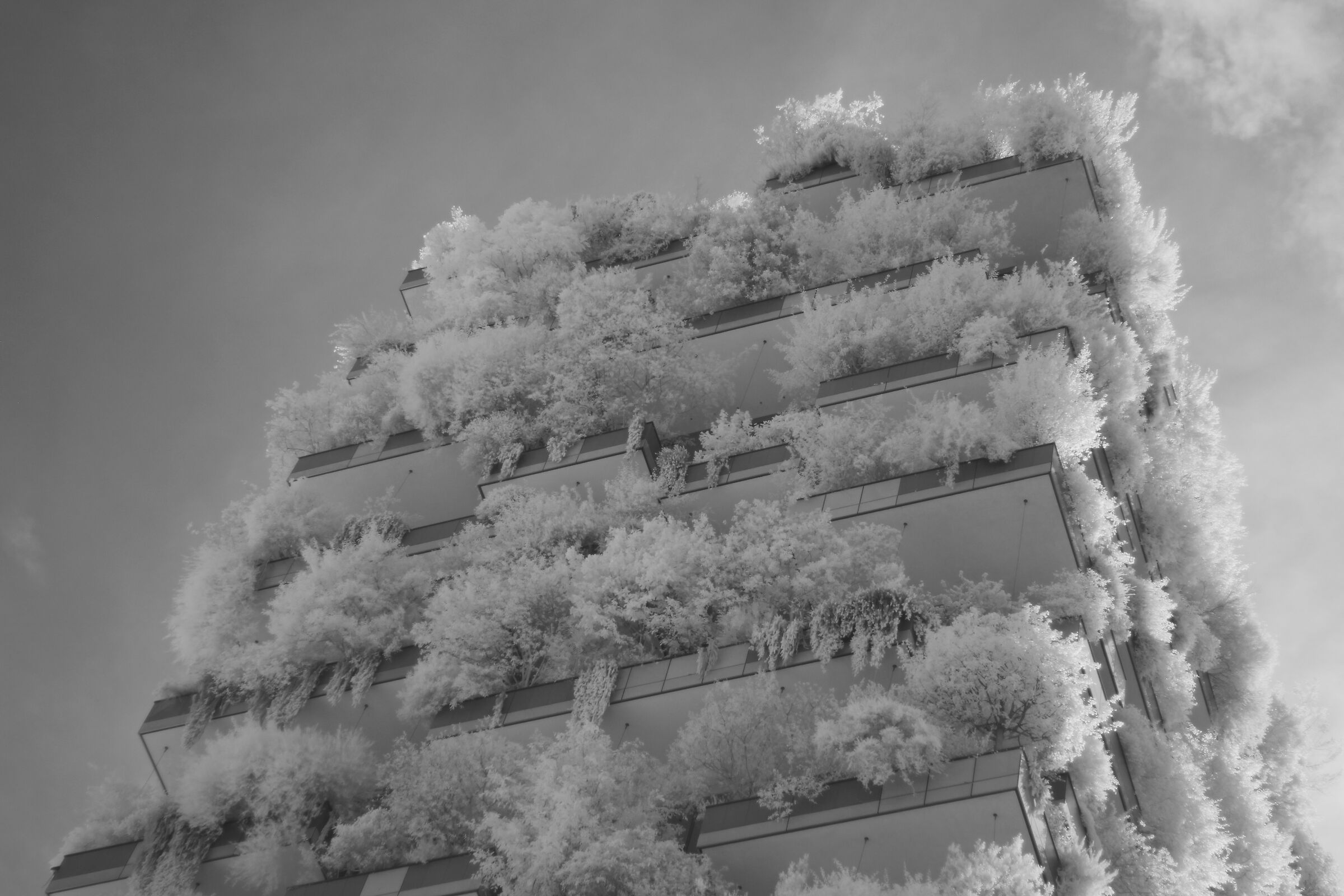 Vertical Forest top [INFRARED]
