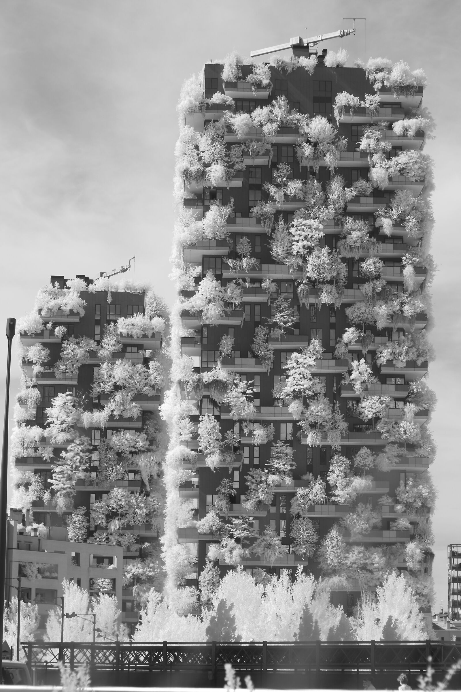 Vertical Forest [INFRARED]