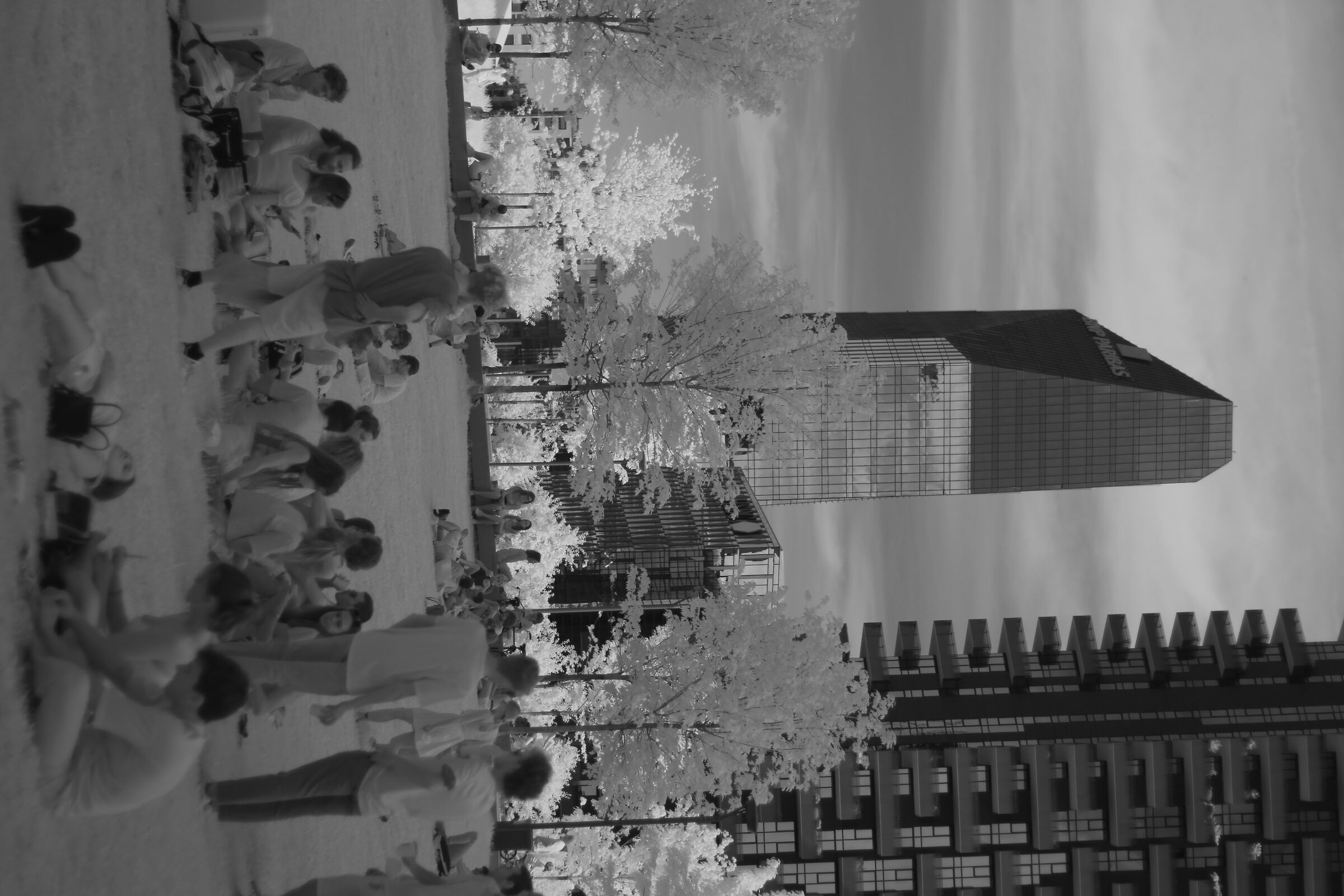 Gae Aulenti, sun and chill 3 [INFRARED]
