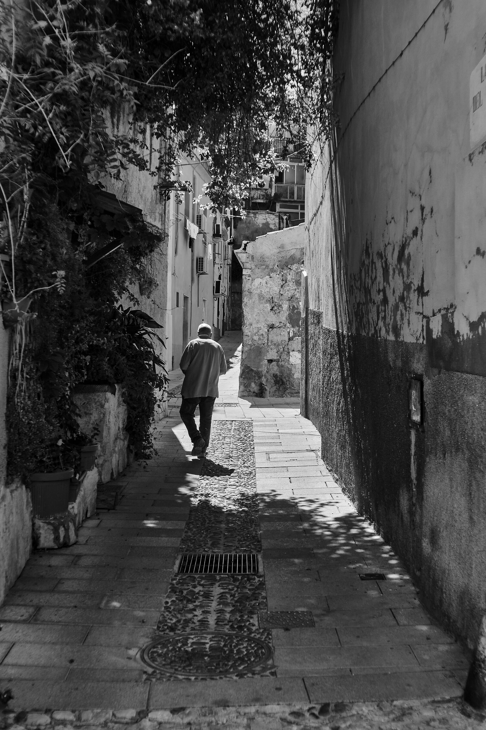 walking