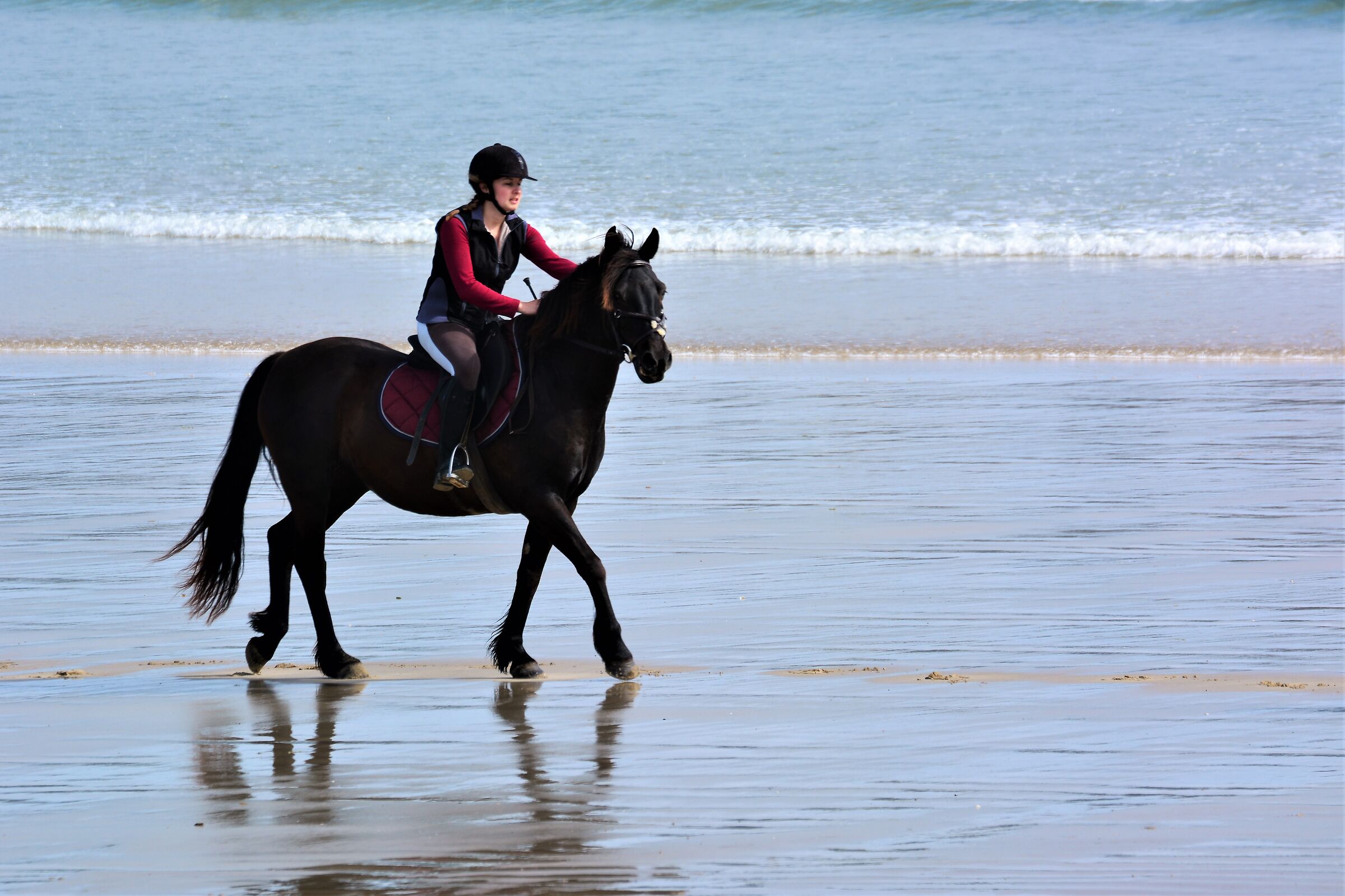 The Sea and the Horse