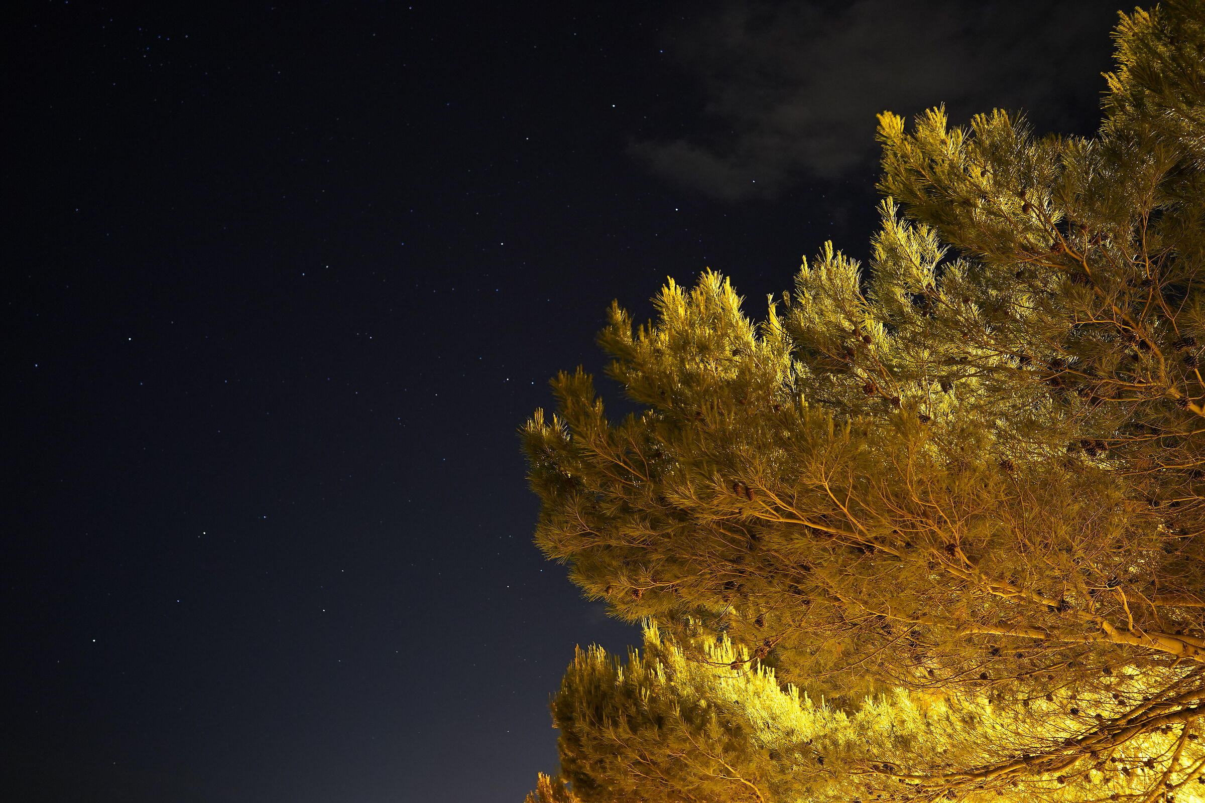 Le prime stelle