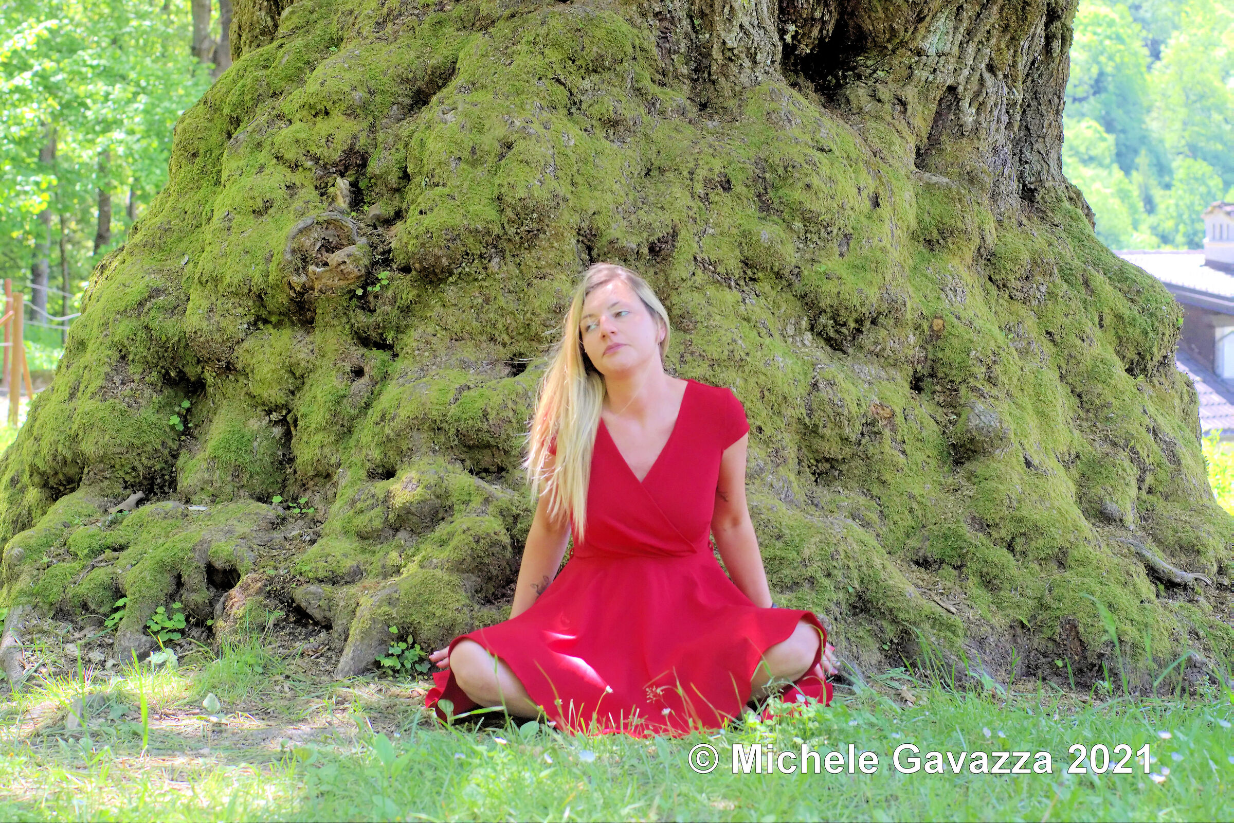 Ele in Wonderland 02