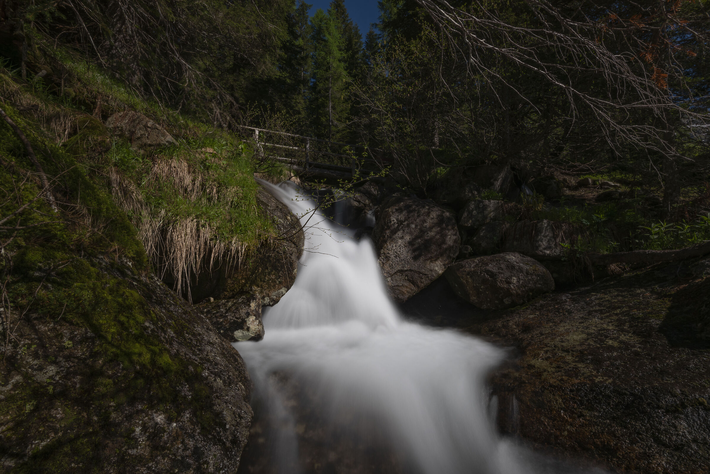 Untitled Photo