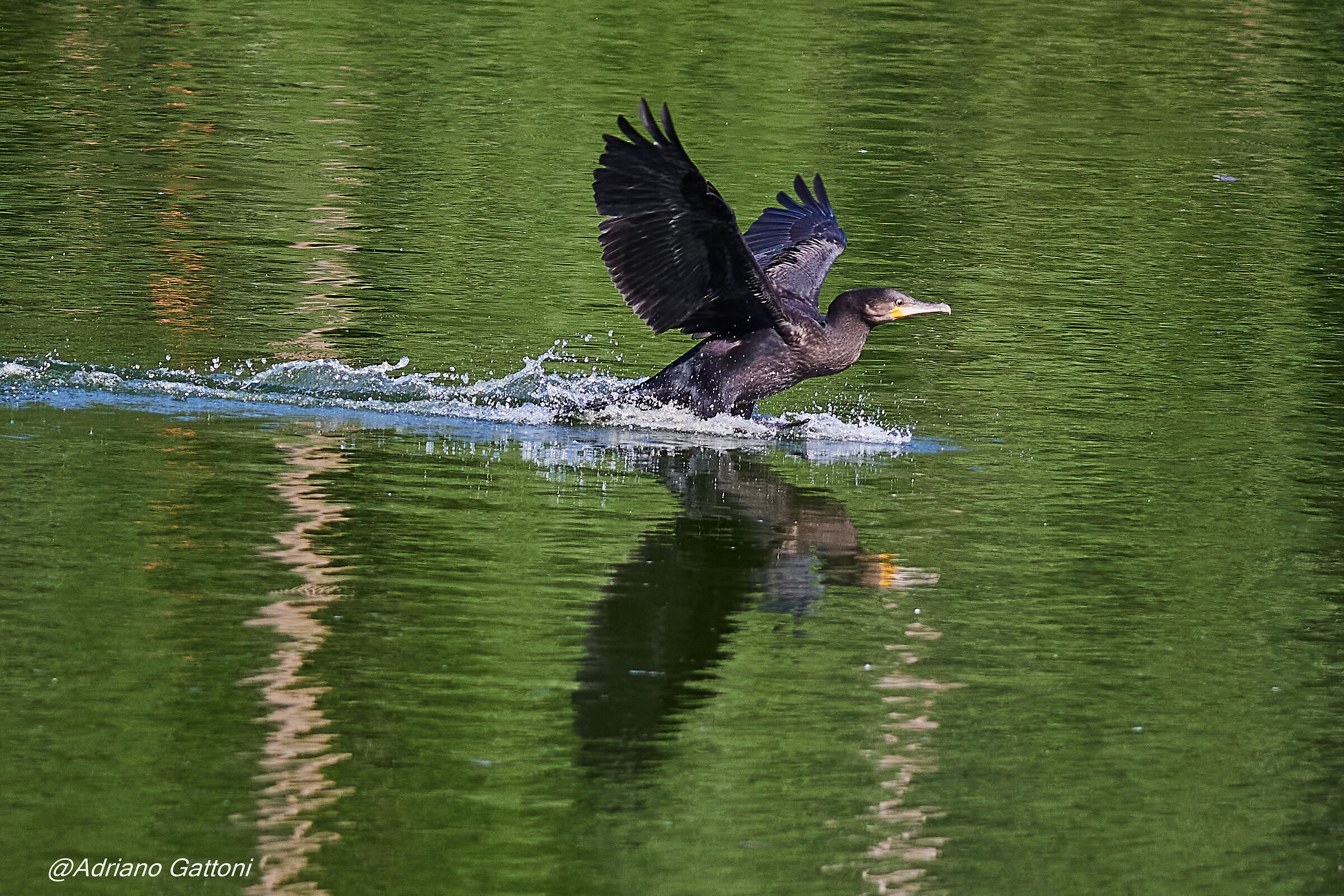 pista ... di rullaggio