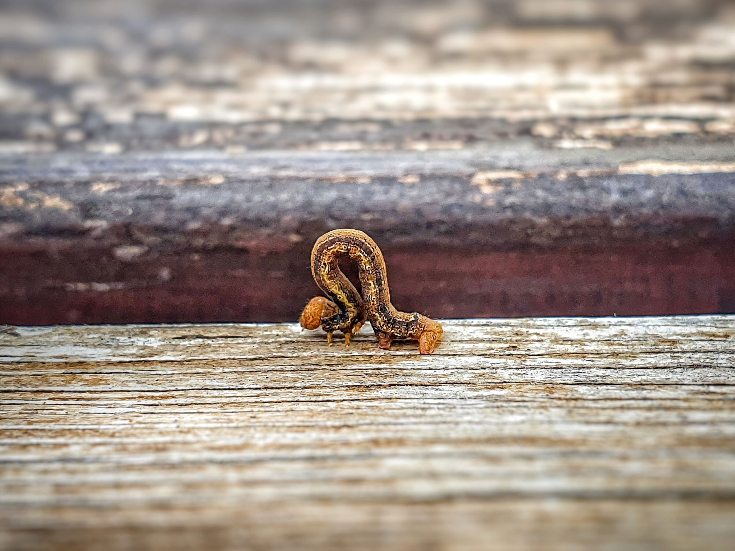 Un passo dopo l'altro arriverai ovunque...