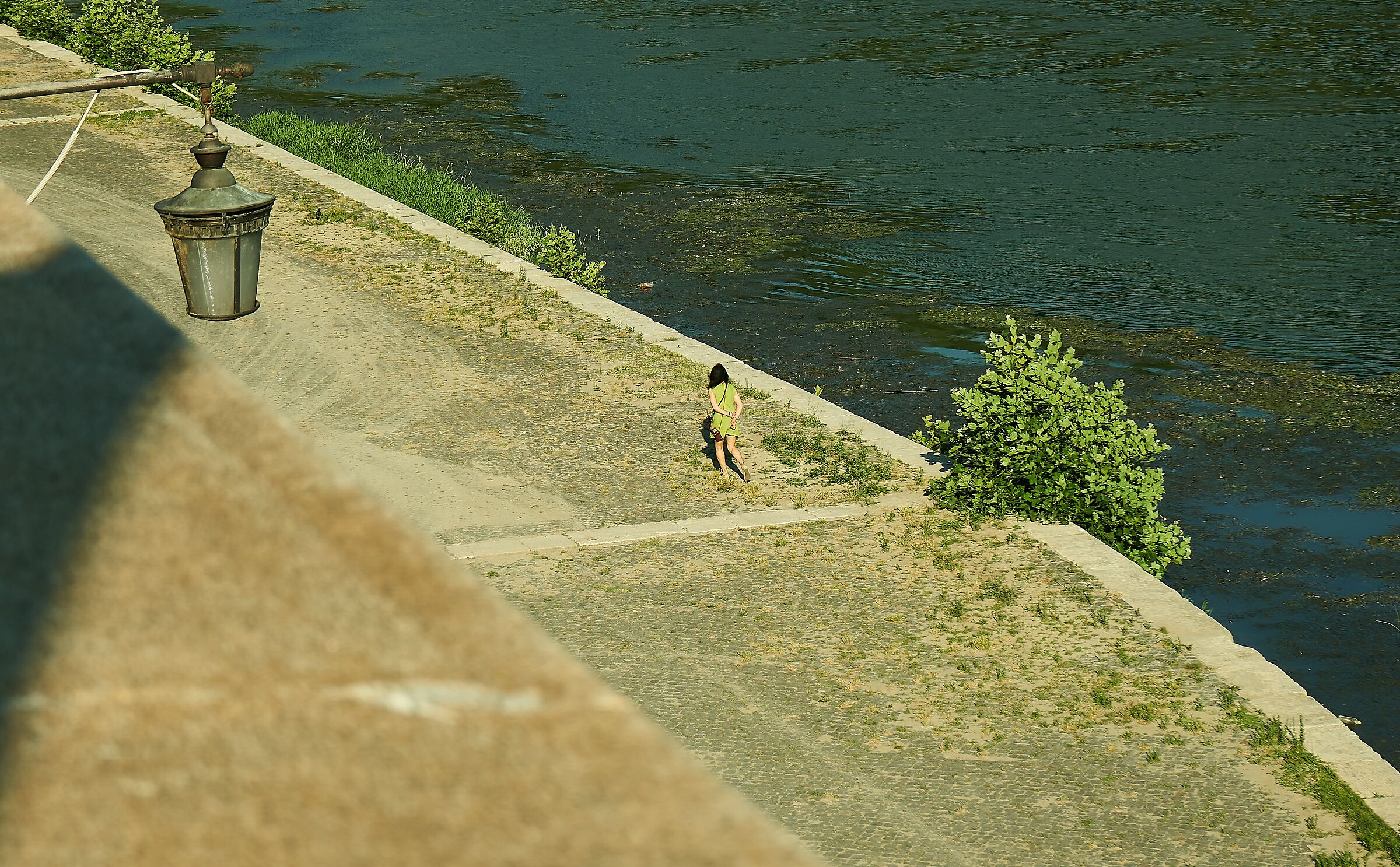 Untitled Photo