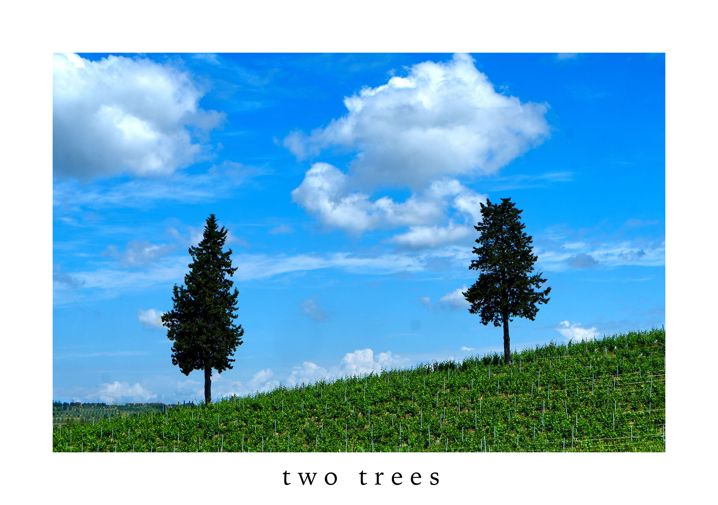 Two Trees