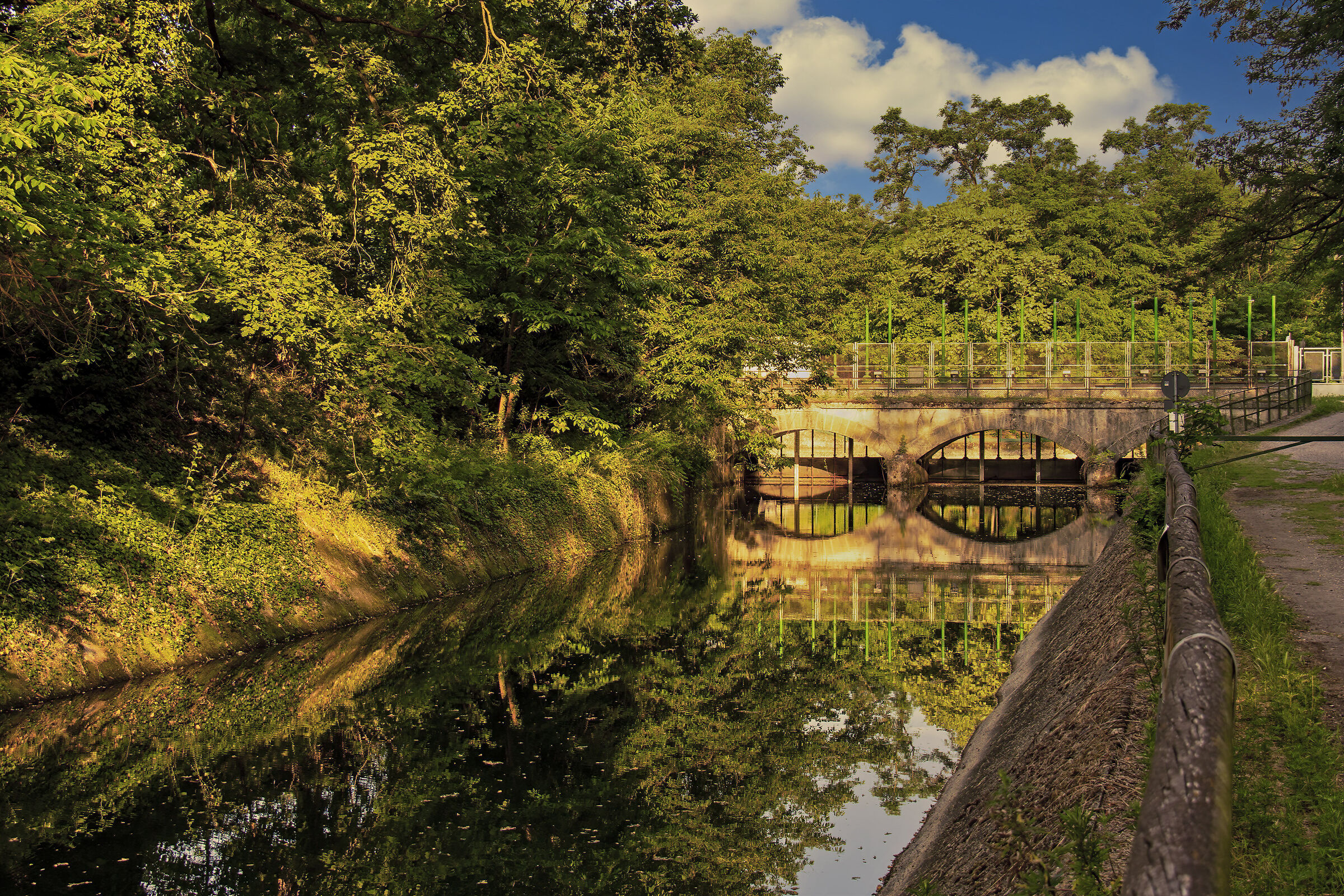 Il mattino ha l'oro in bocca