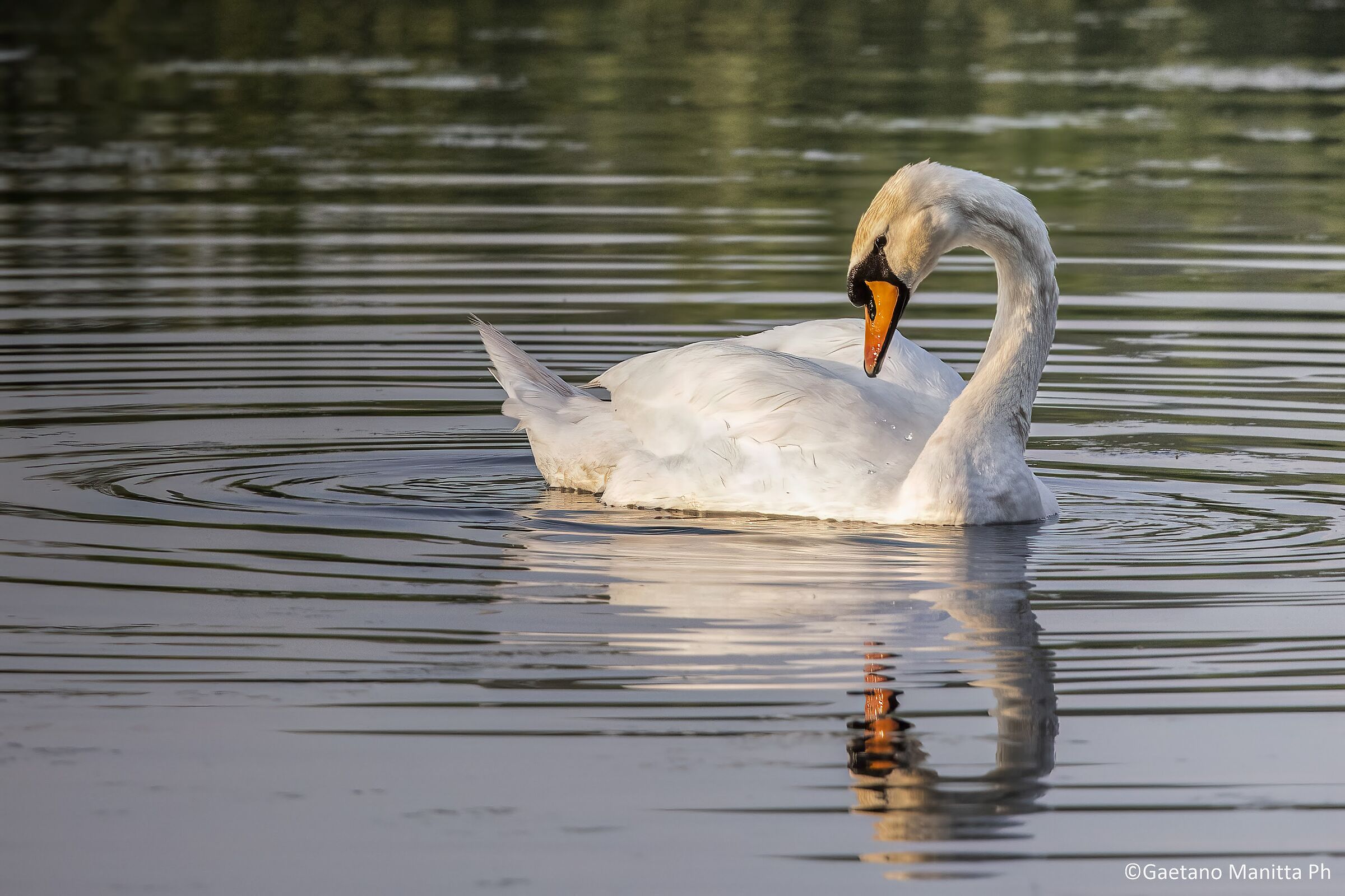 With sunset in your face