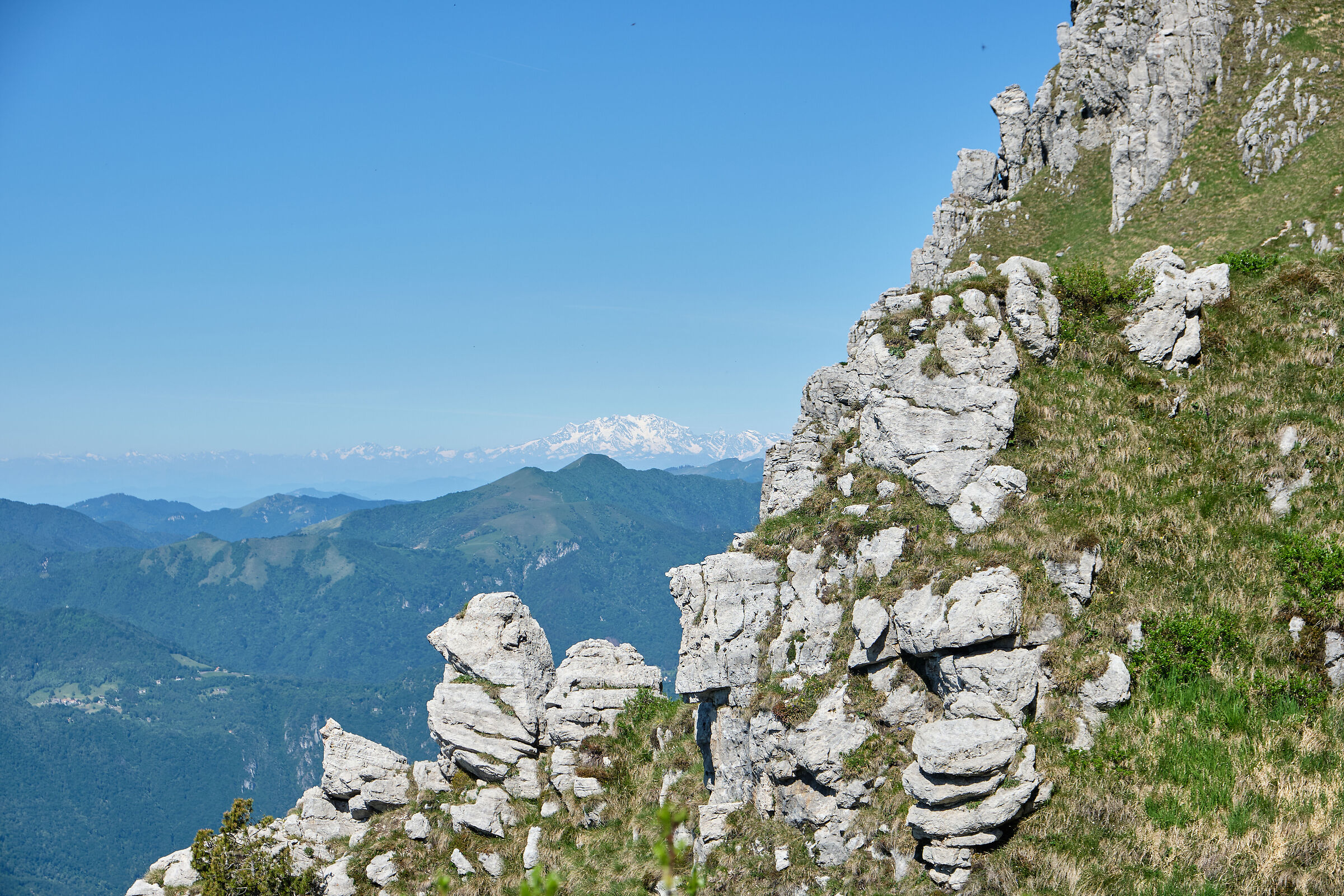 Monte Rosa in the background