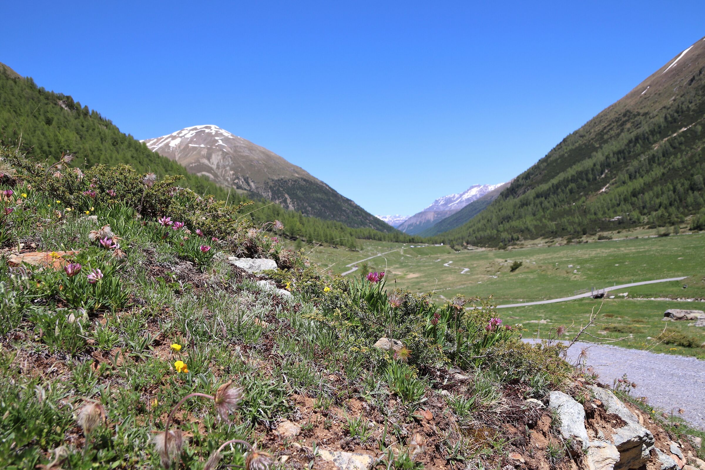 Il giardino della natura