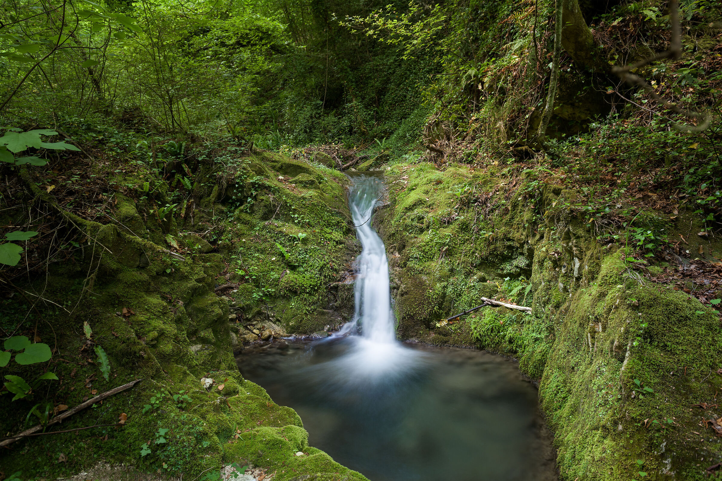 Sorgenti fiume Alento