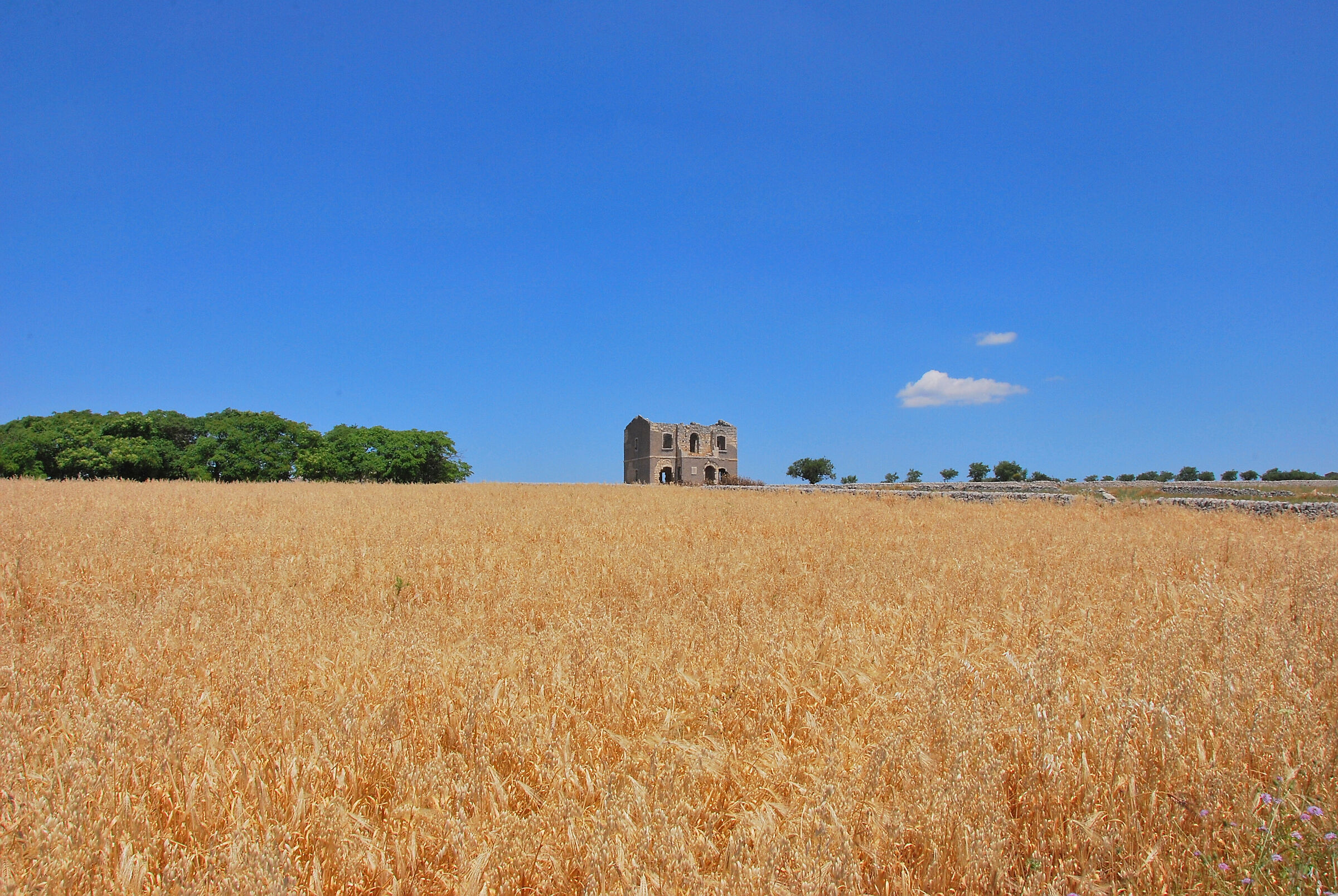 Ancient railway toll booth lost in wheat