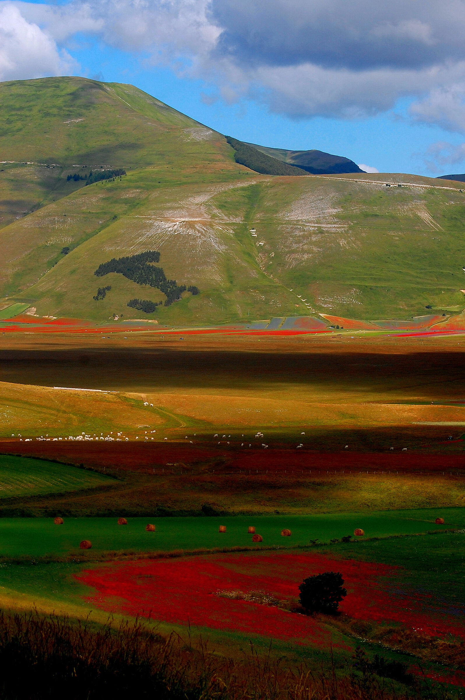 Between lights and shadows