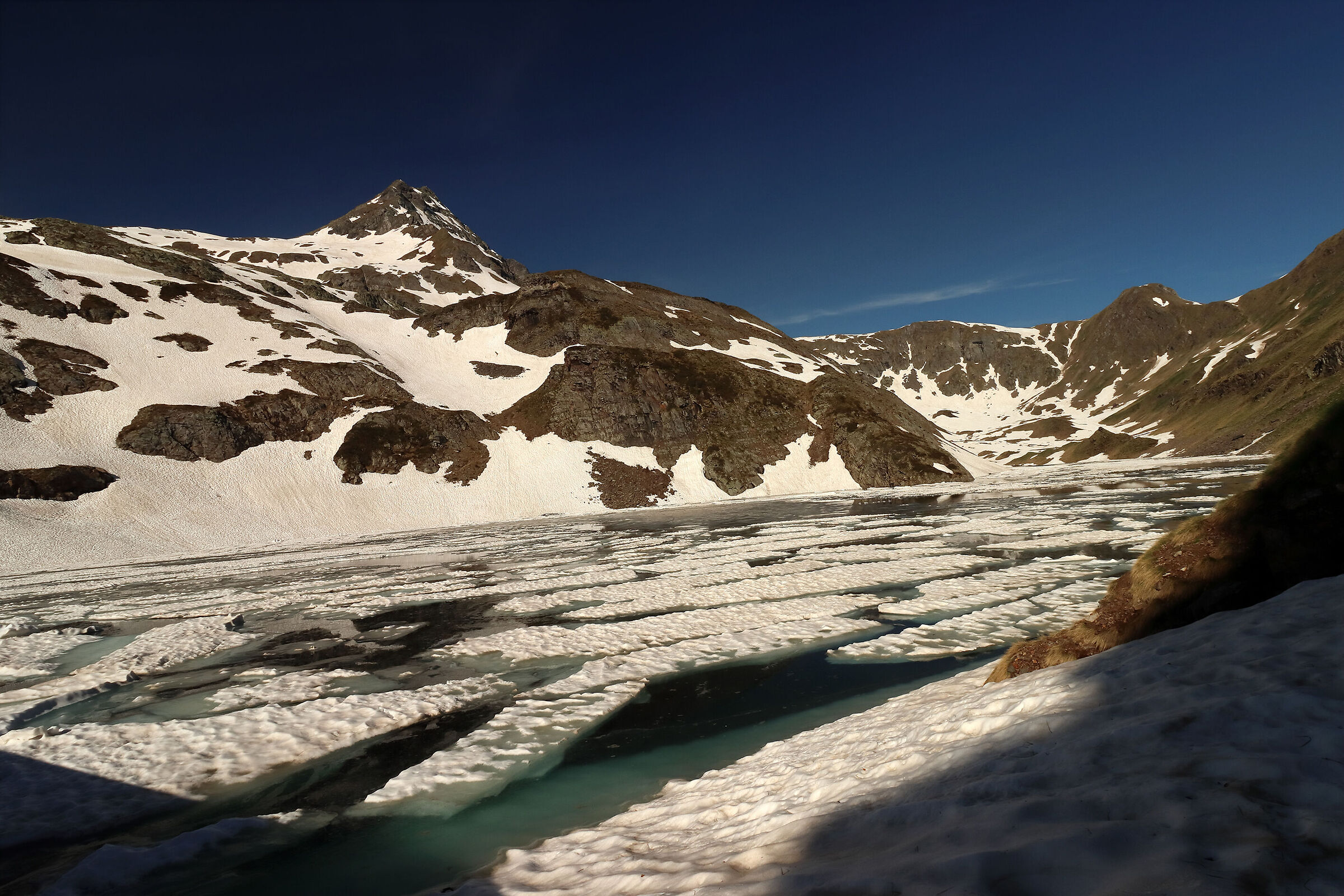 iceberg in the Aviasco
