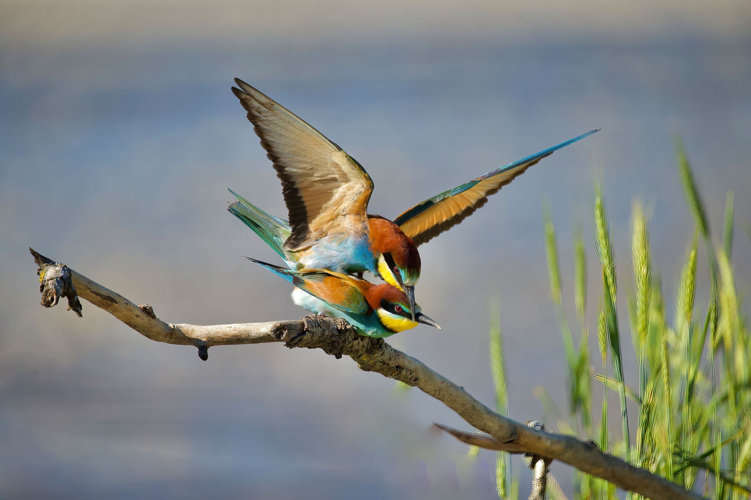 Moments of tenderness