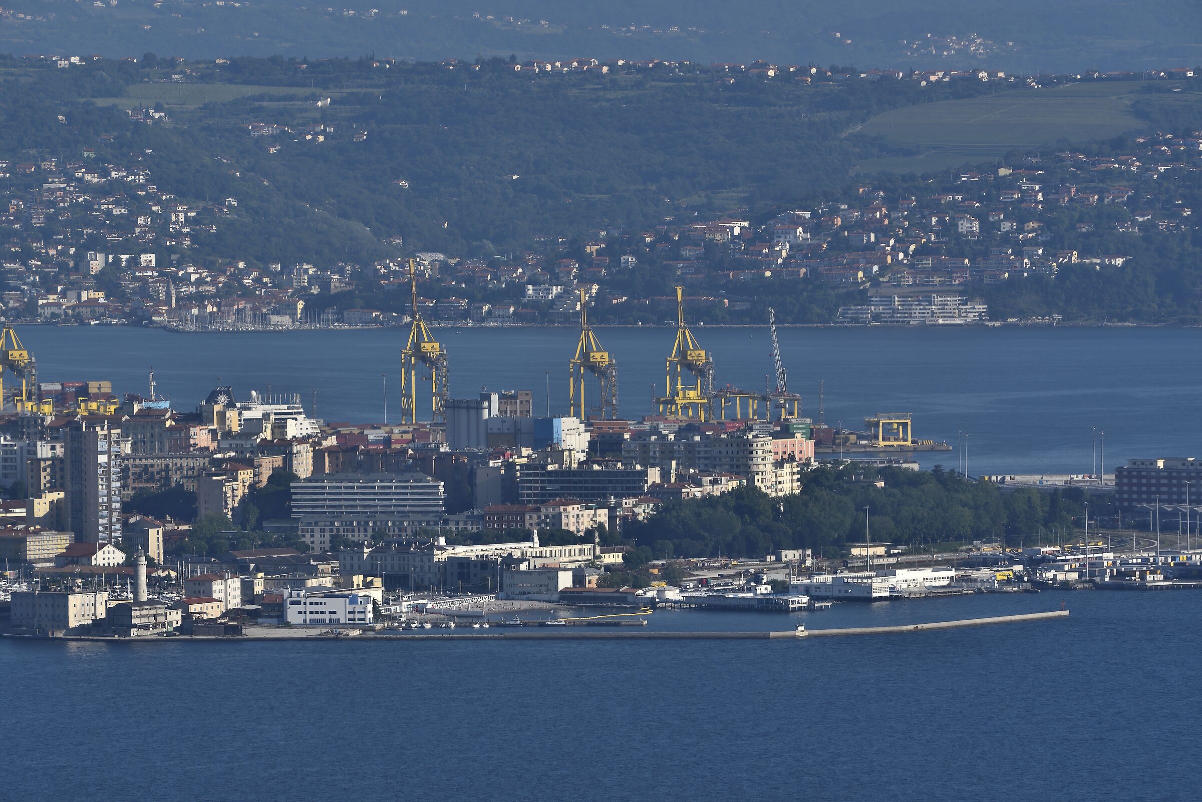 I Cavalieri del Porto ...