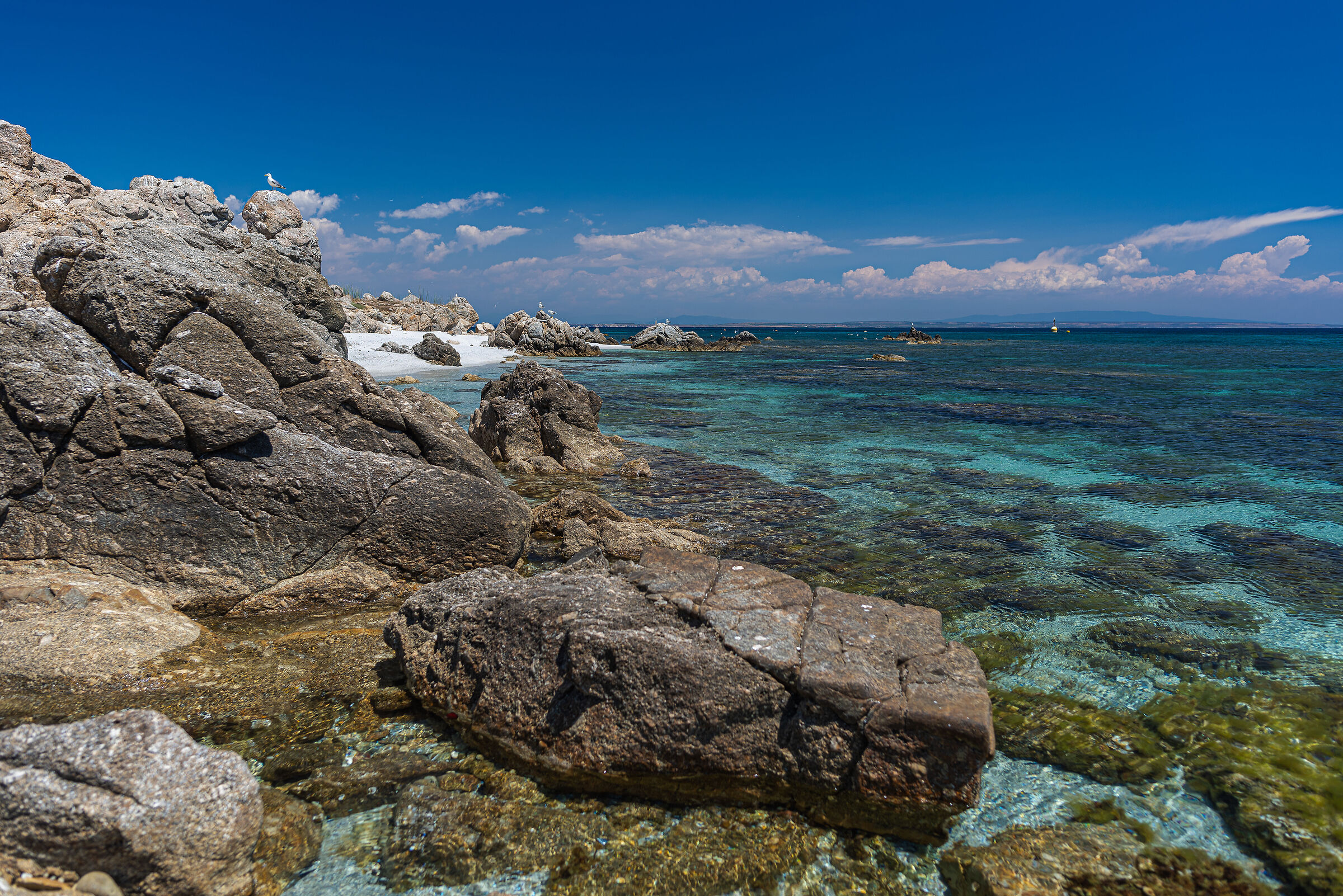 Enchantment of Belly Pain