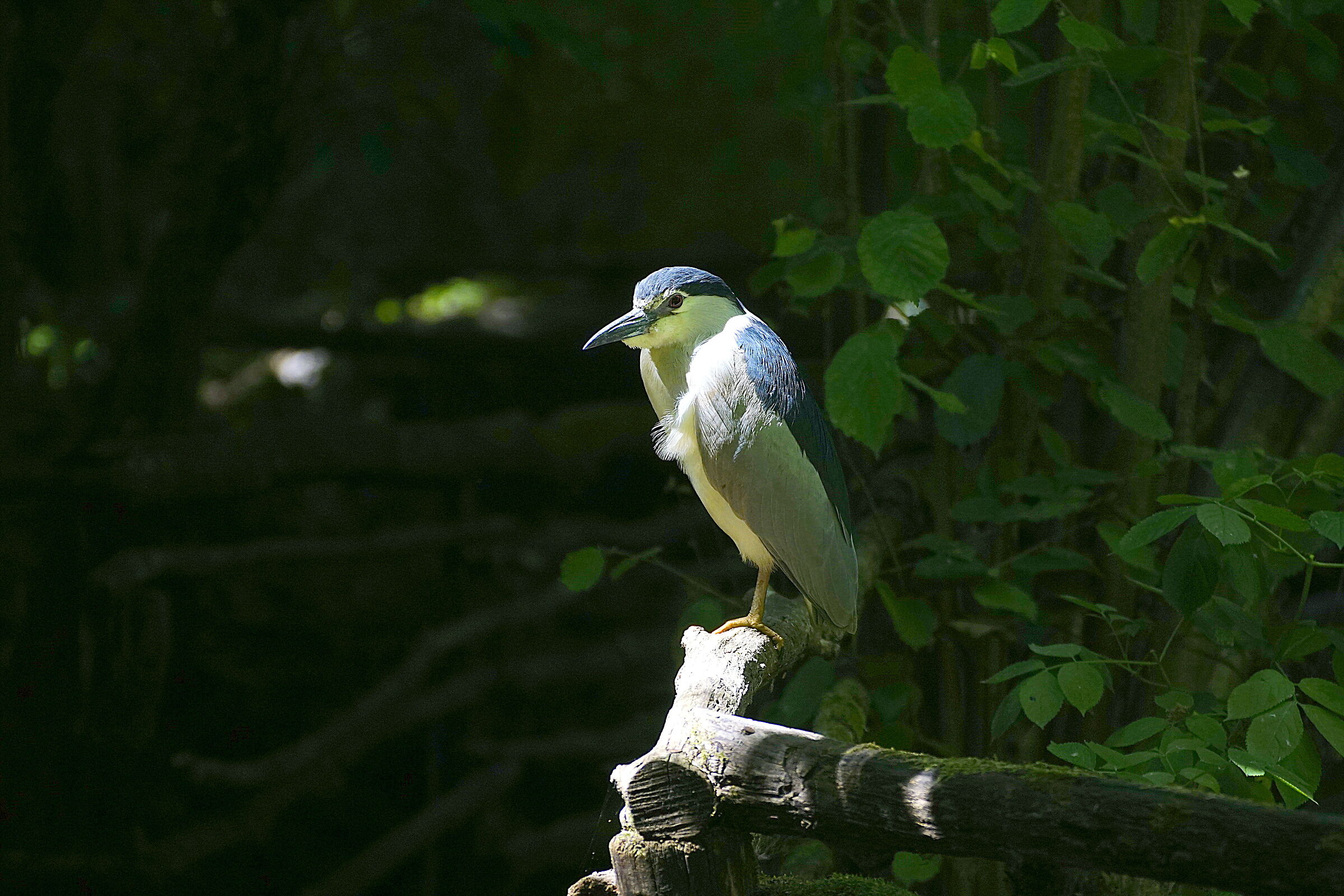 cosa ci sarà mai da fotografare!