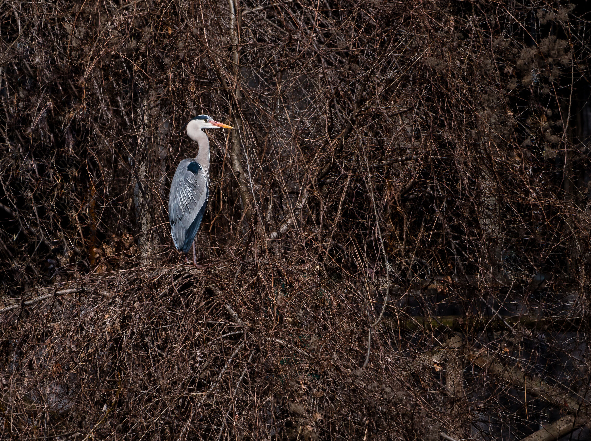 in my comfort zone.....