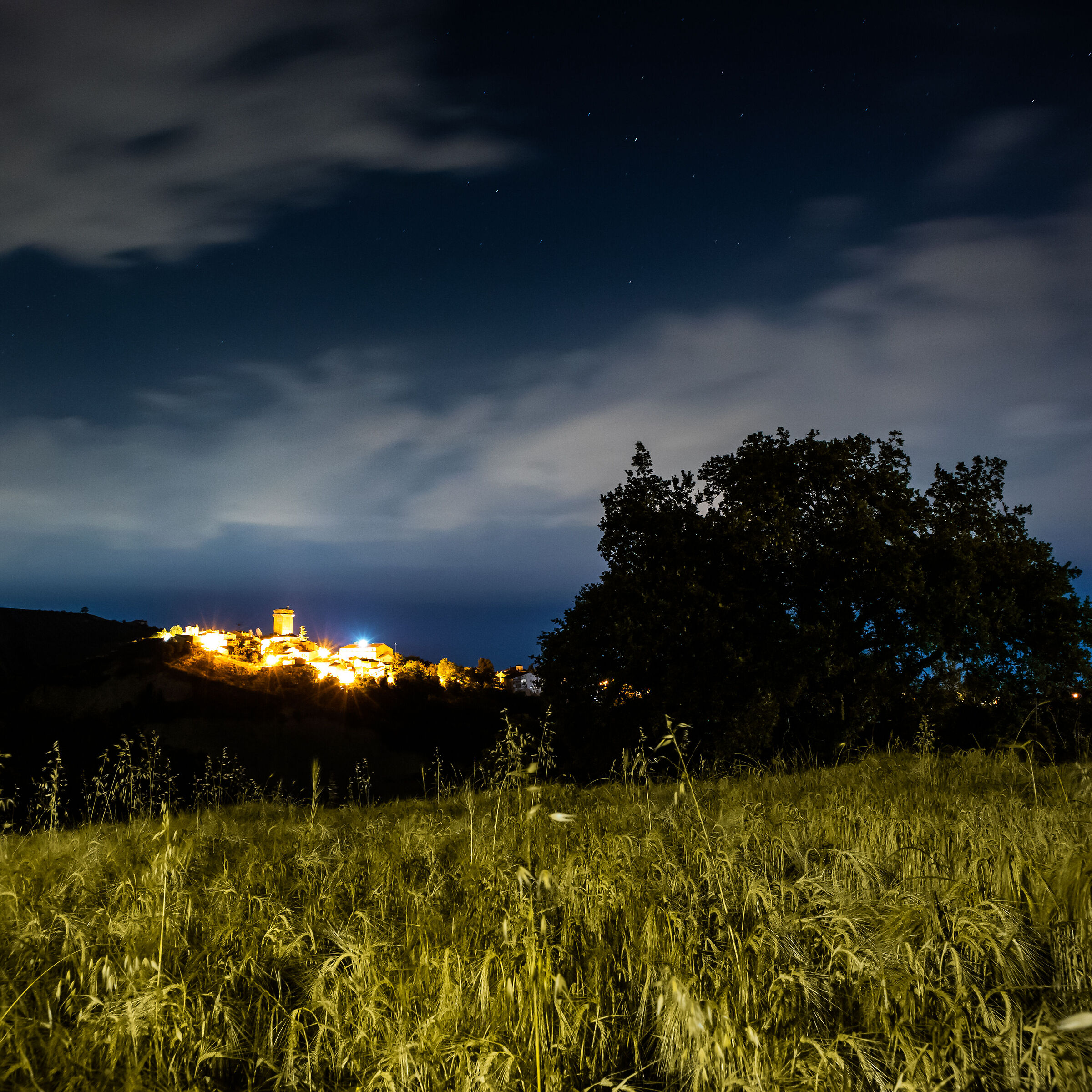 Untitled Photo