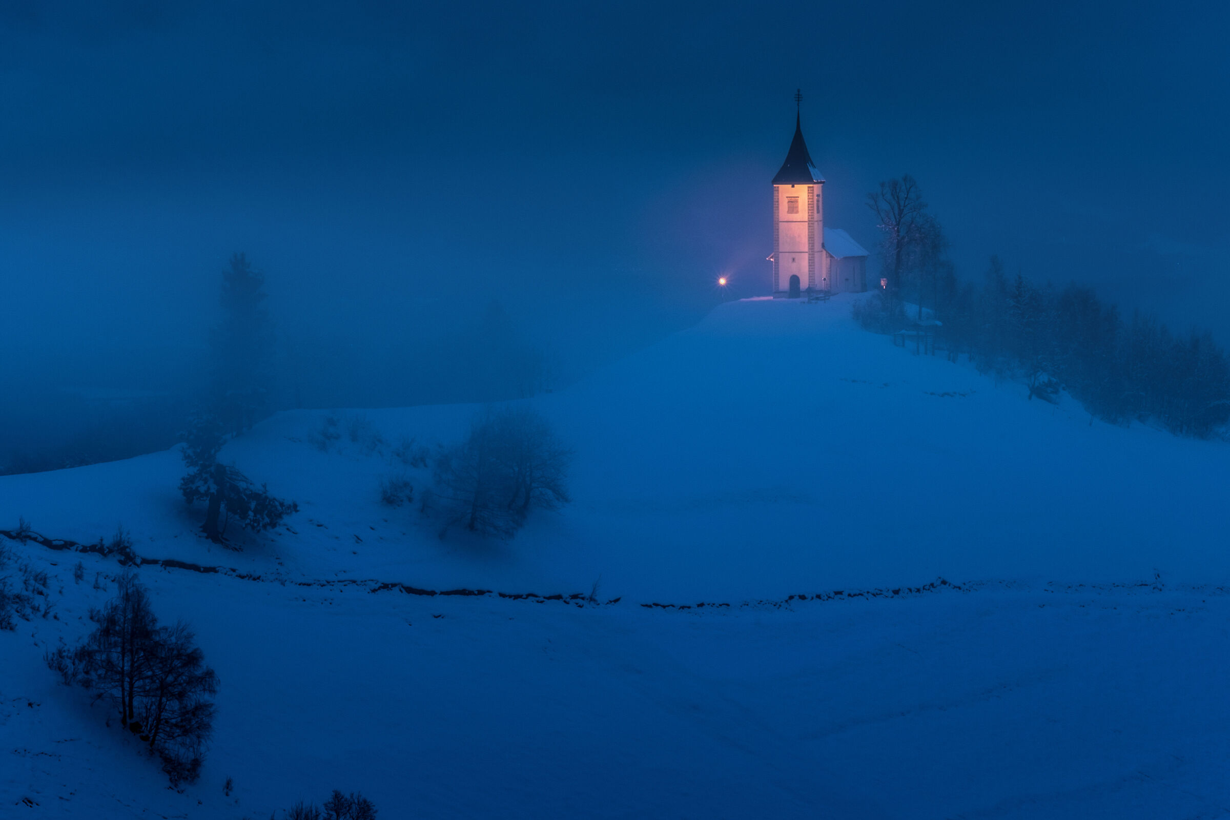 Foggy Blue Hour