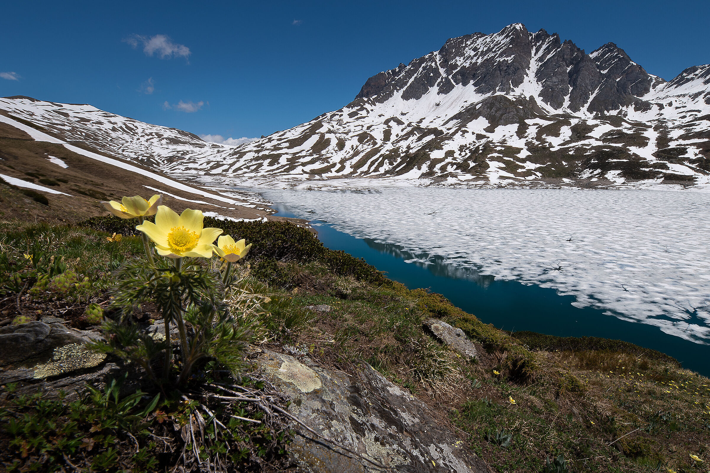 Tra disgelo e prime fioriture