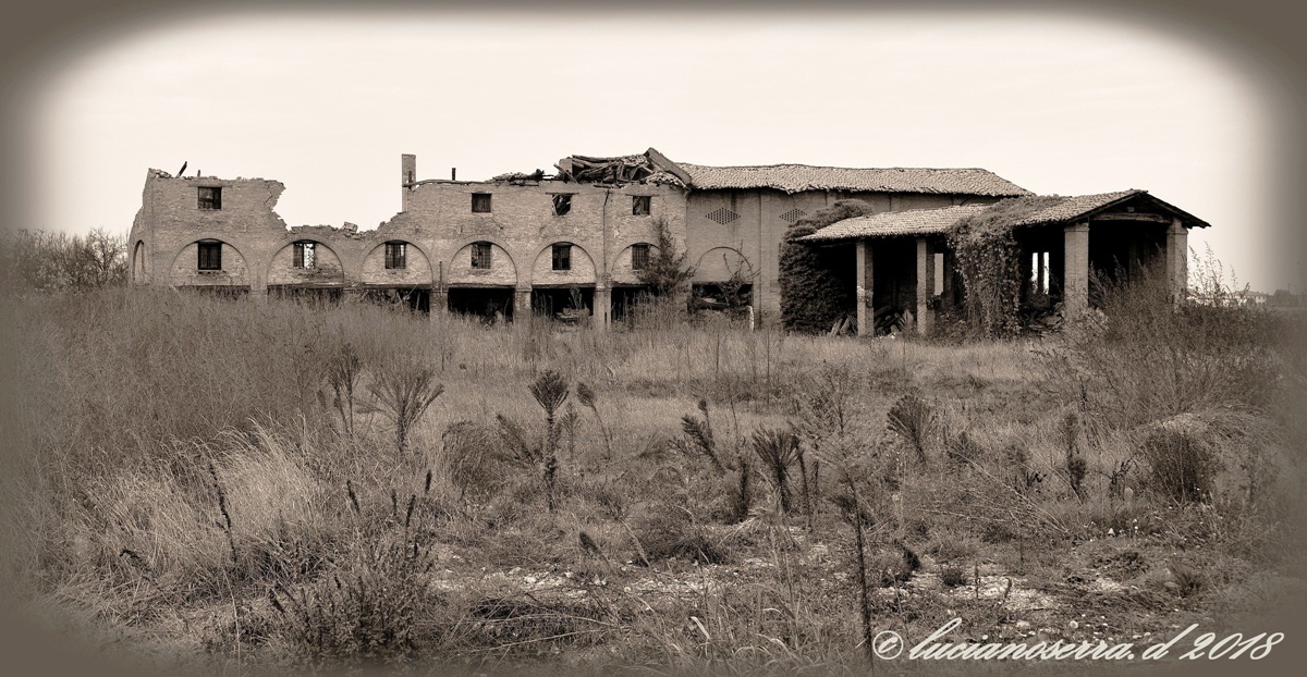 In the most complete abandonment...