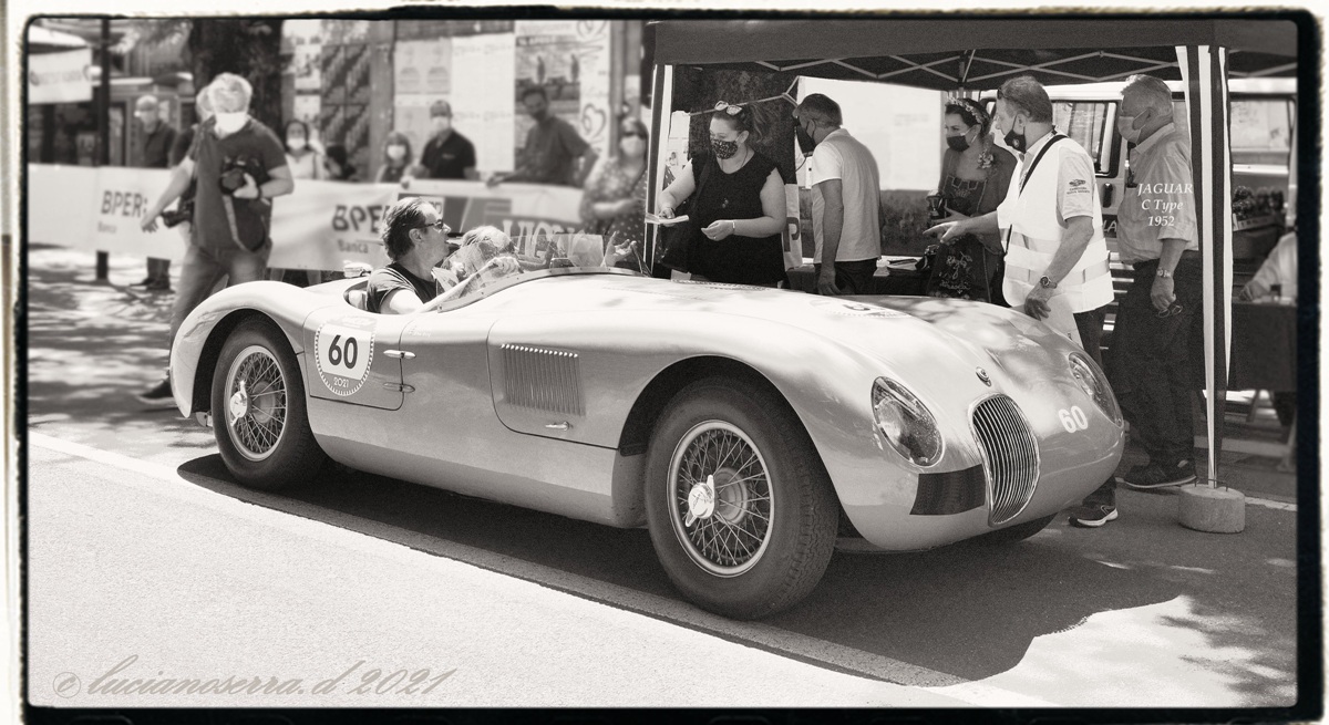 Jaguar C Type (XK 120 C) - 1952