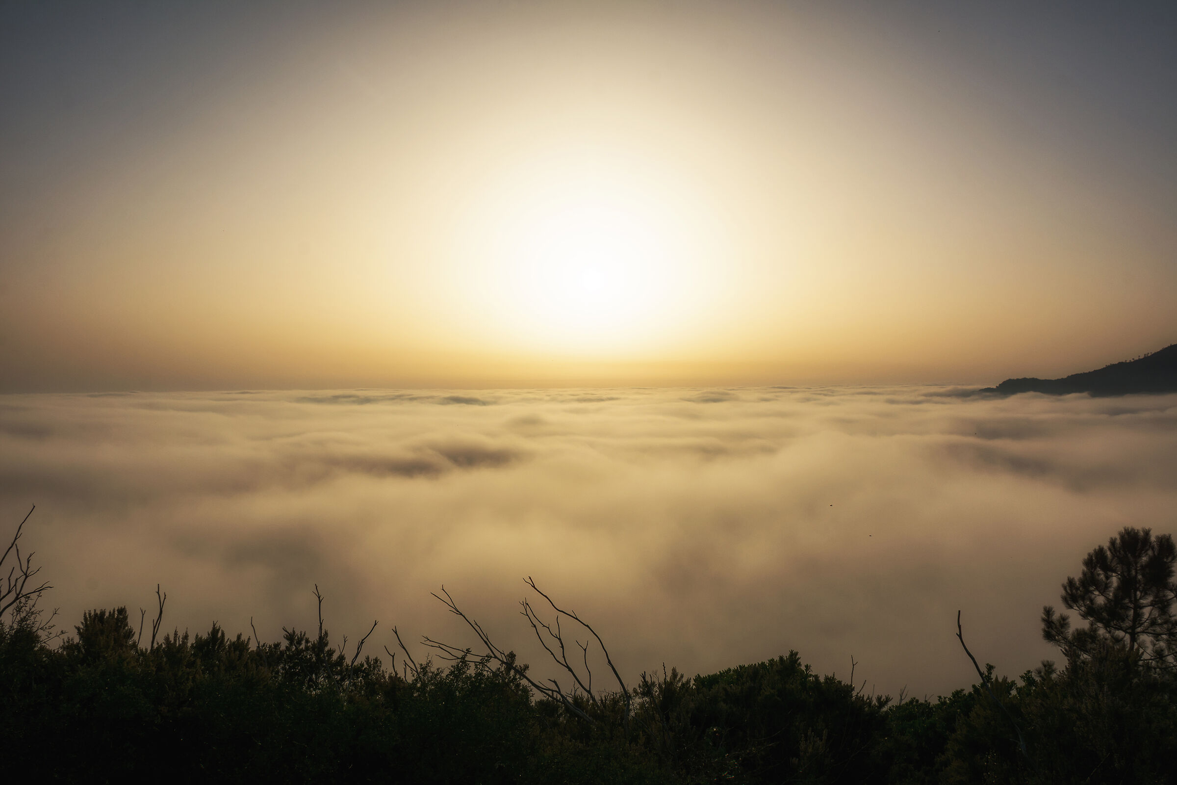 Benvenuti in paradiso