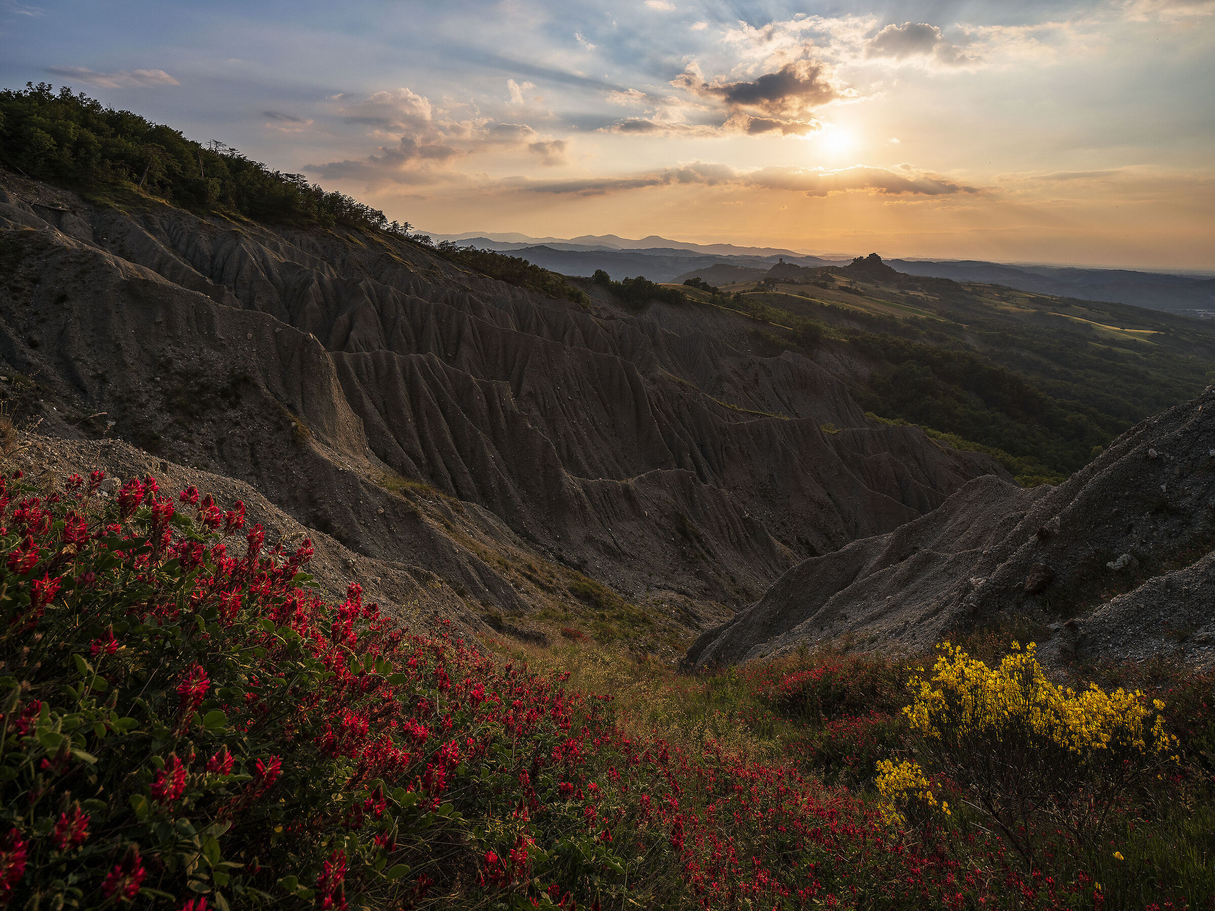 Sulla, ginestre, calanchi e Rossena