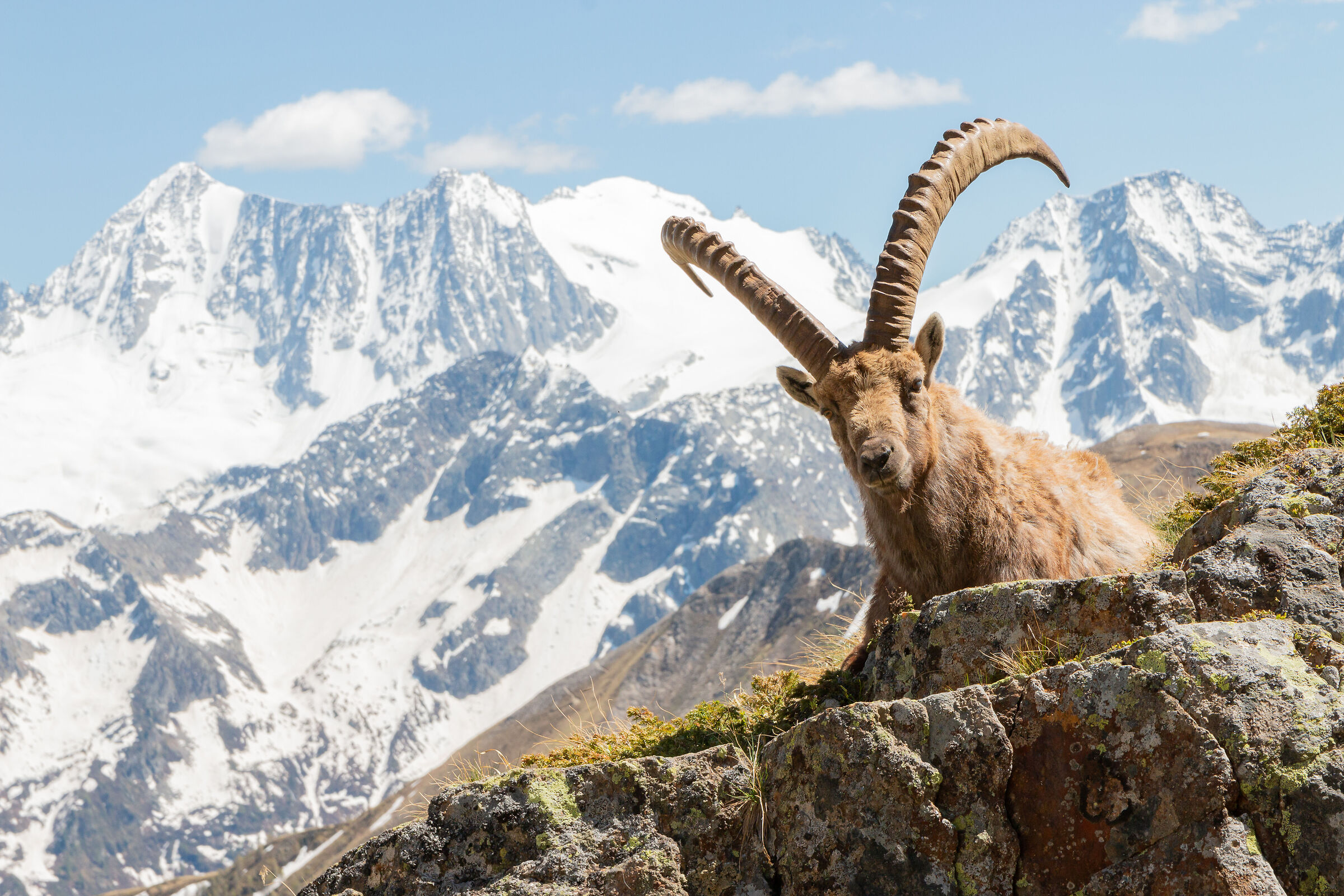 Relax at high altitude