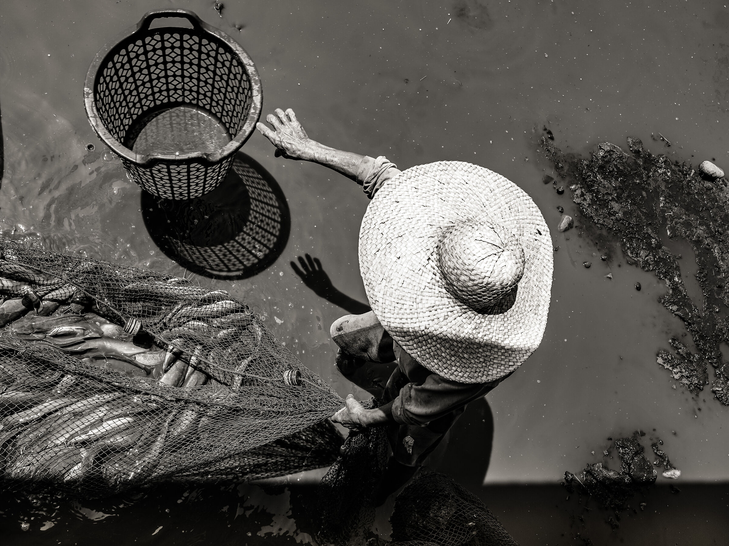 Vecchio uomo, stasera mangi