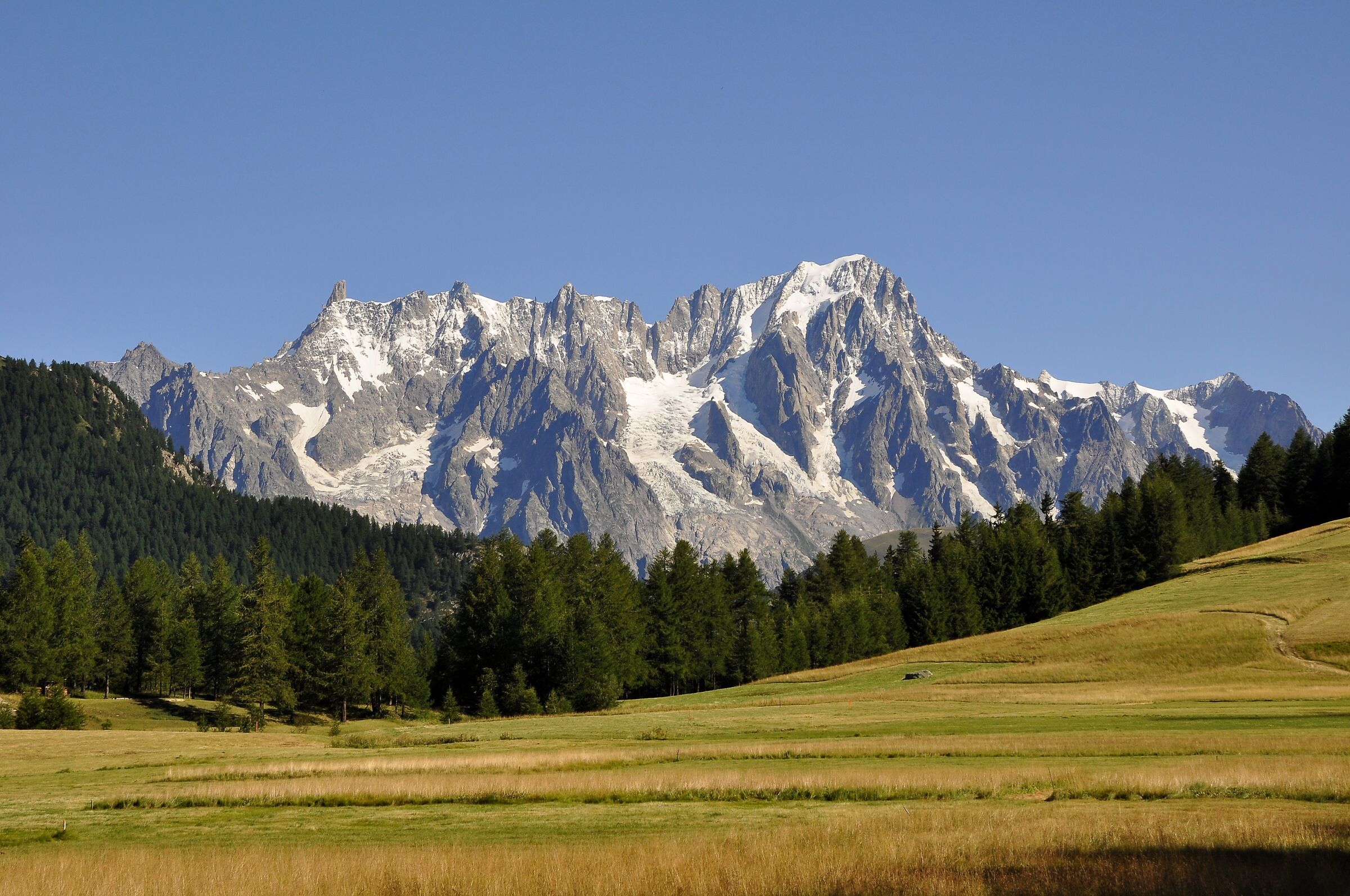 Bianco nel verde