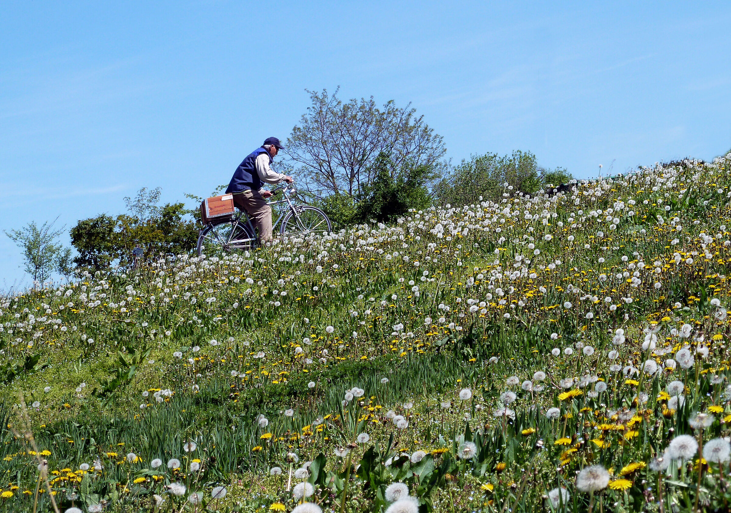 grand prix of the campaign
