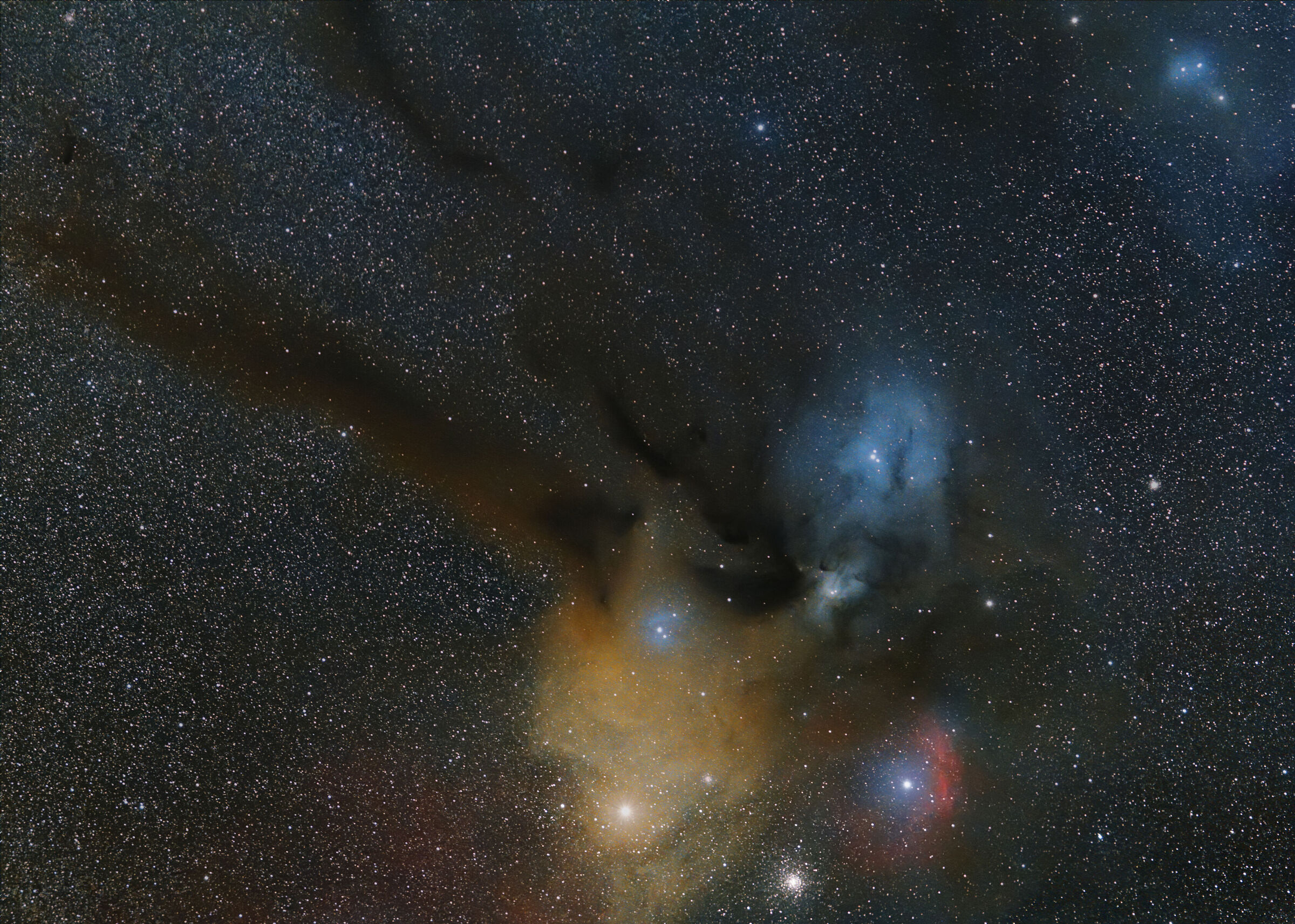 Rho Ophiuch