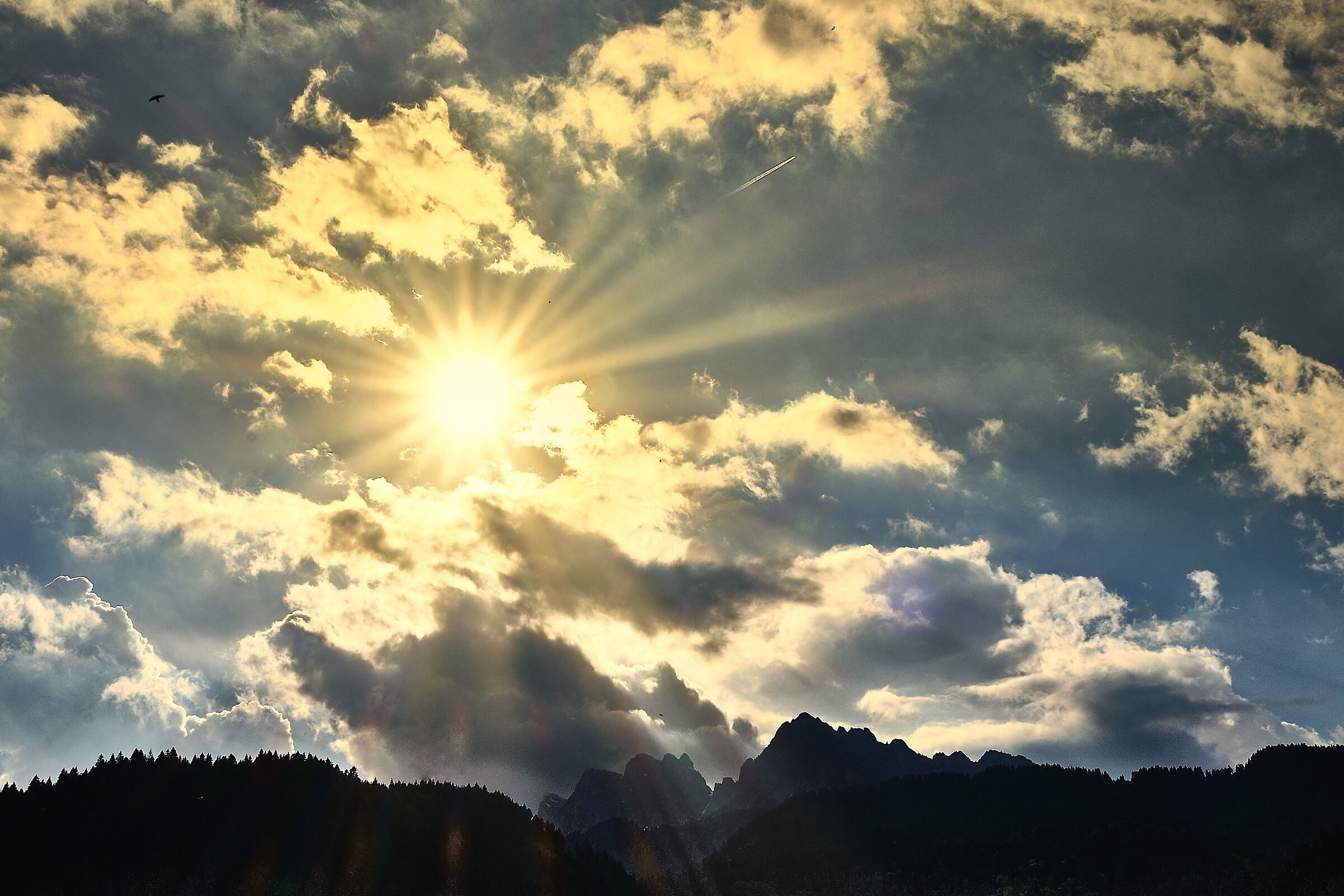 Waiting for the sunset