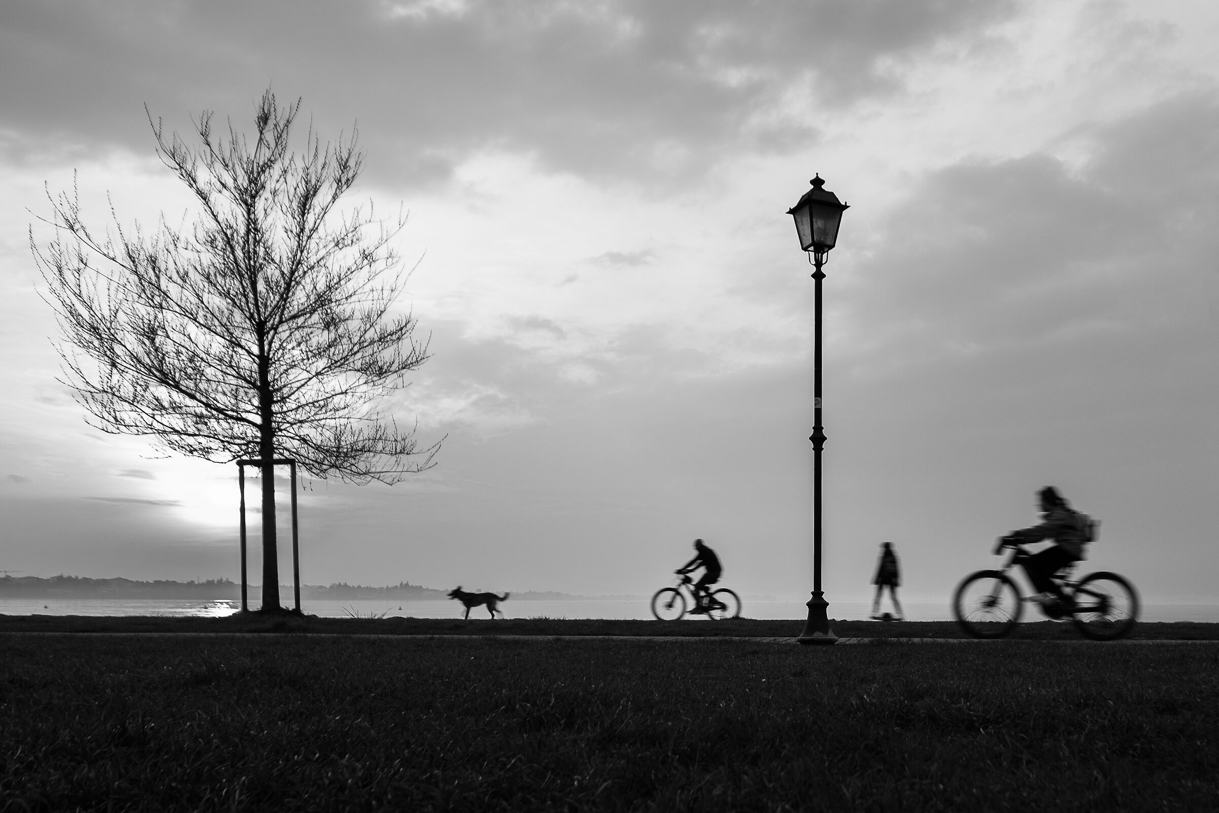 Green transport