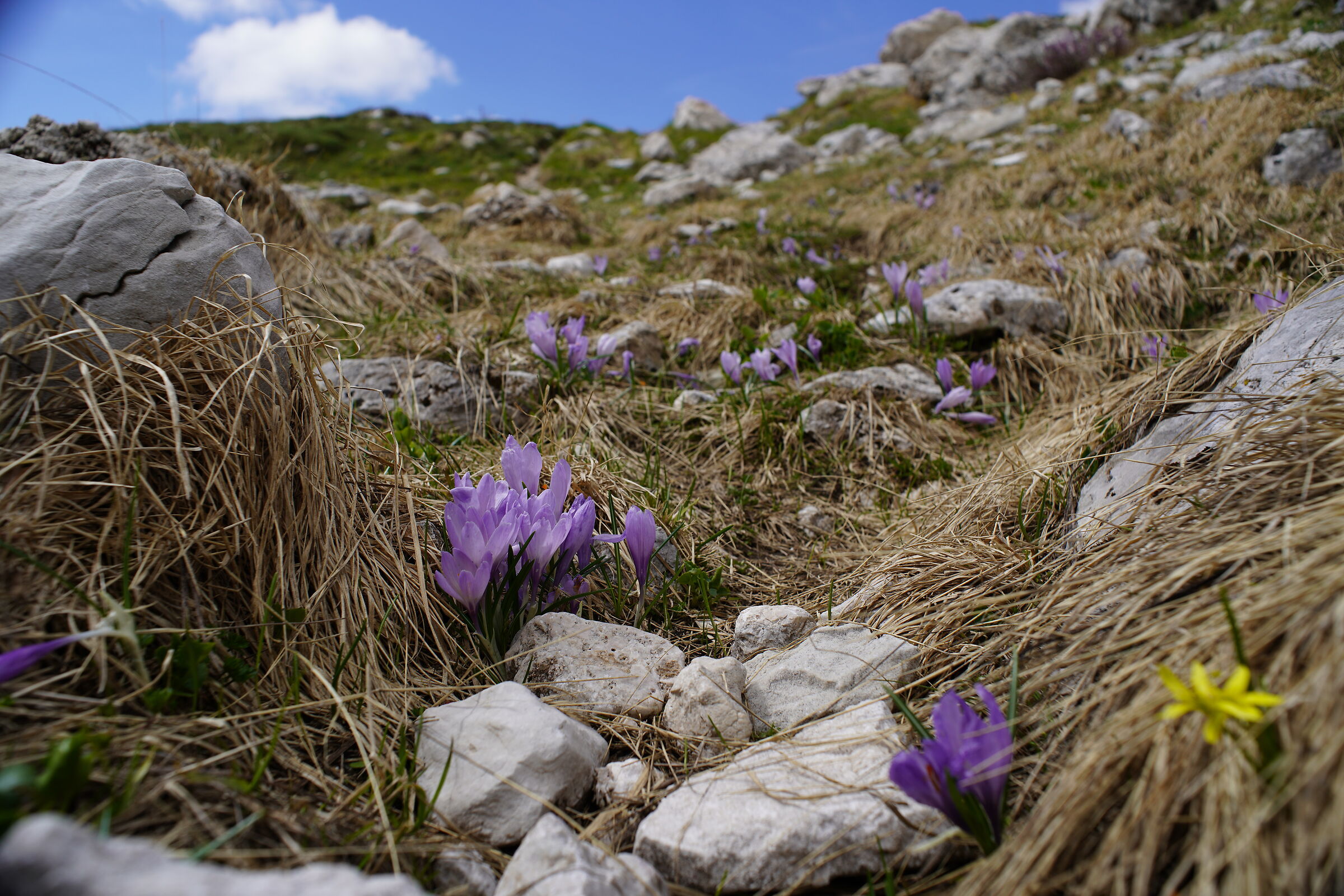 Emperor Field, Gran Sasso