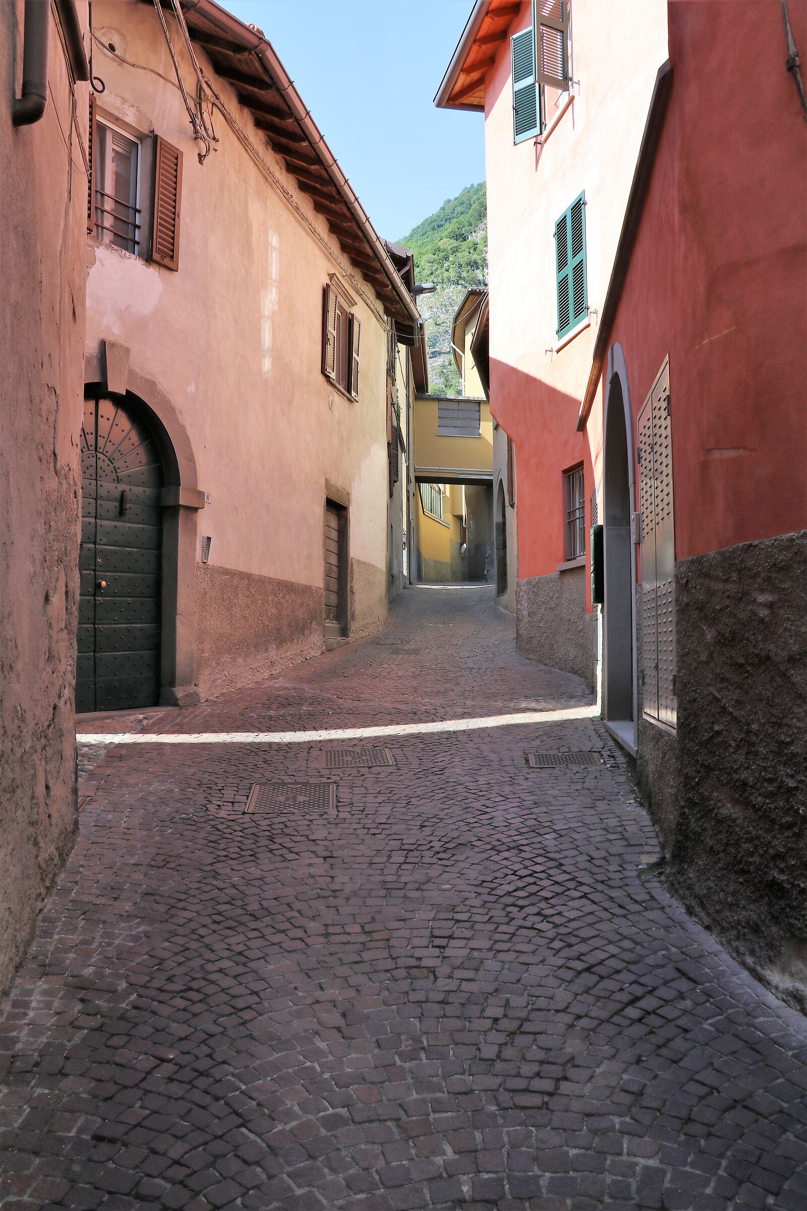 Hamlet Somasca Vercurago (LC)